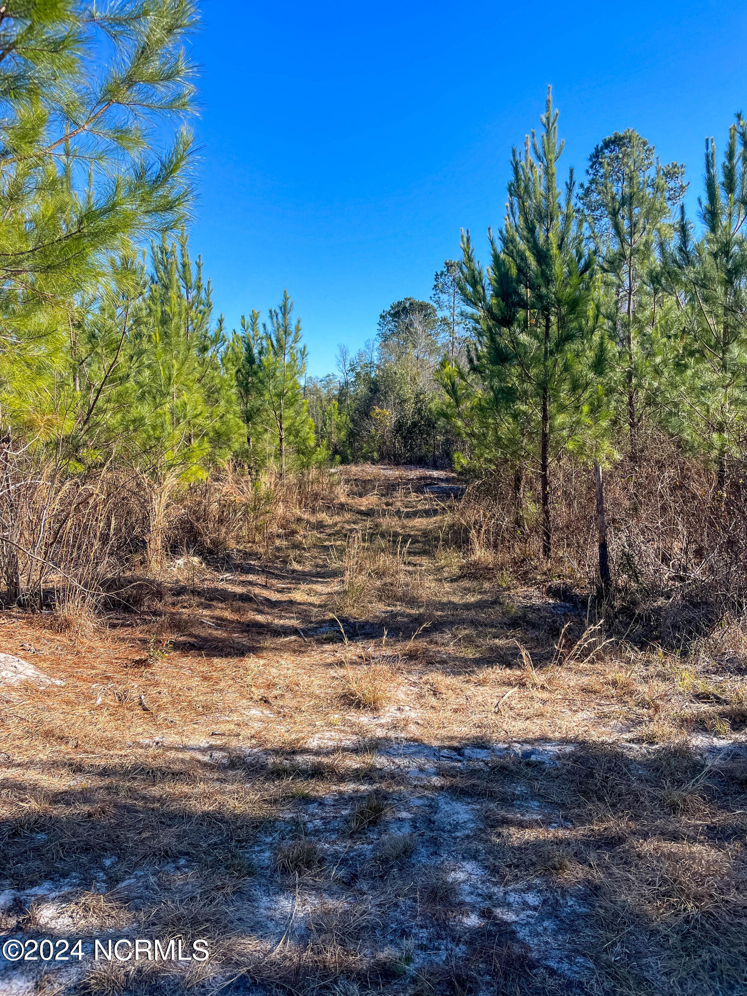 00 Sykes Town Road Property Photo 47