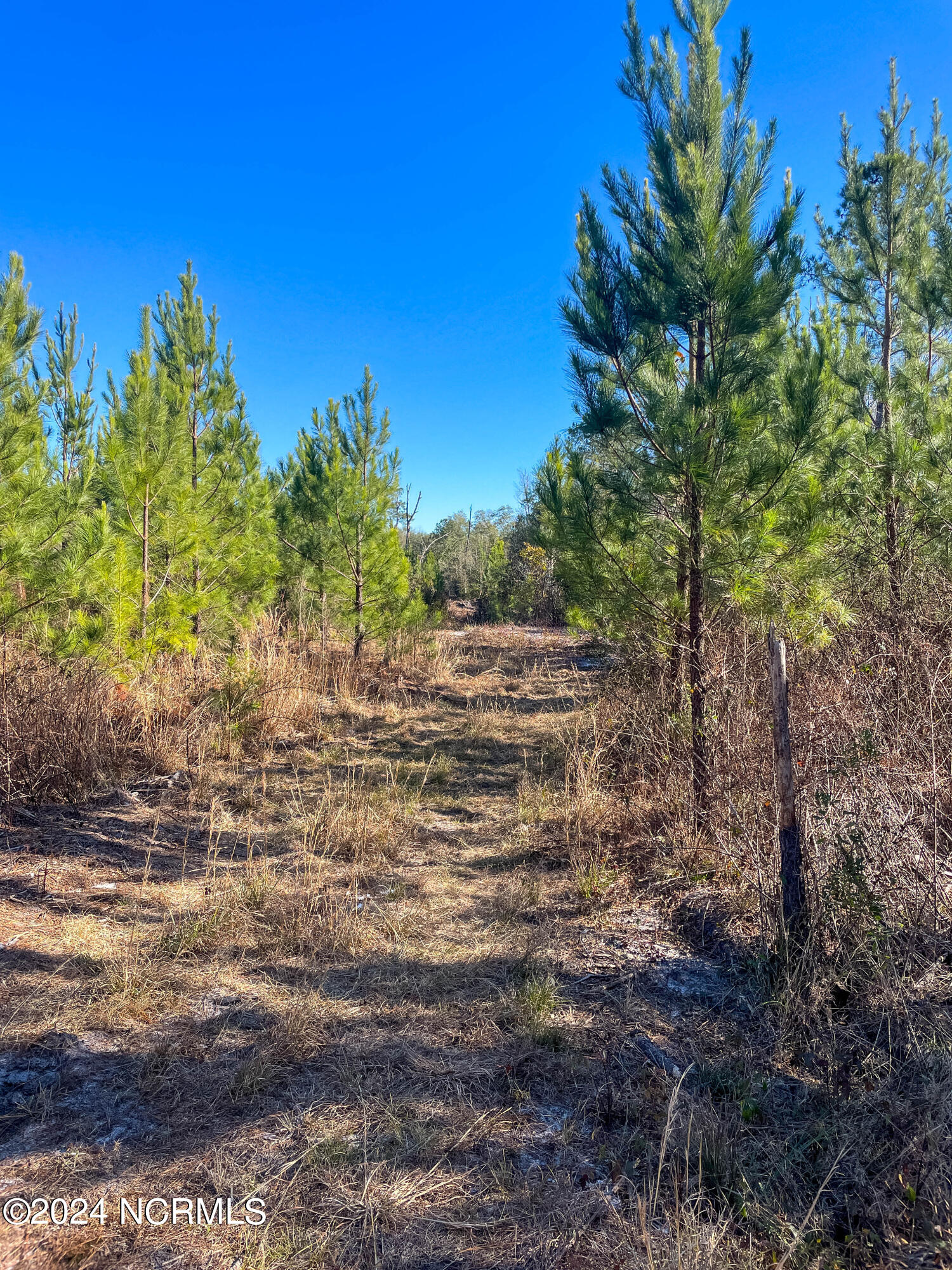 00 Sykes Town Road Property Photo 48