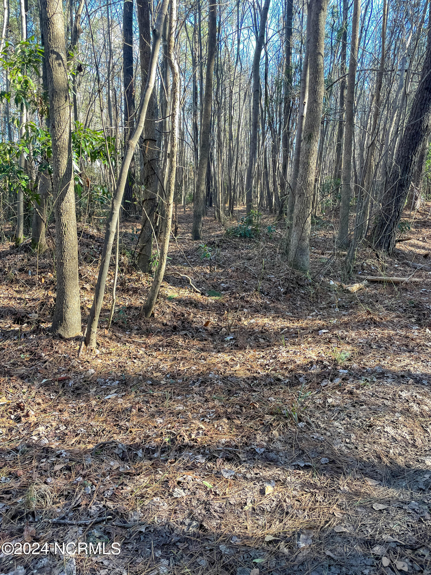 00 Sykes Town Road Property Photo 56