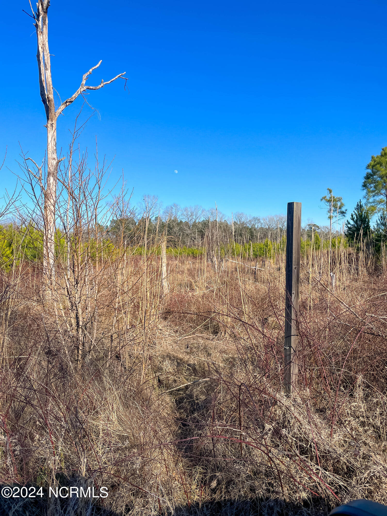 00 Sykes Town Road Property Photo 62