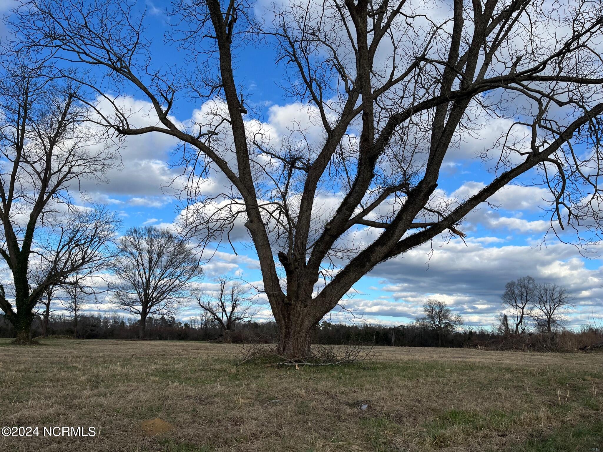 1500 Old Lumberton Road Property Photo 5