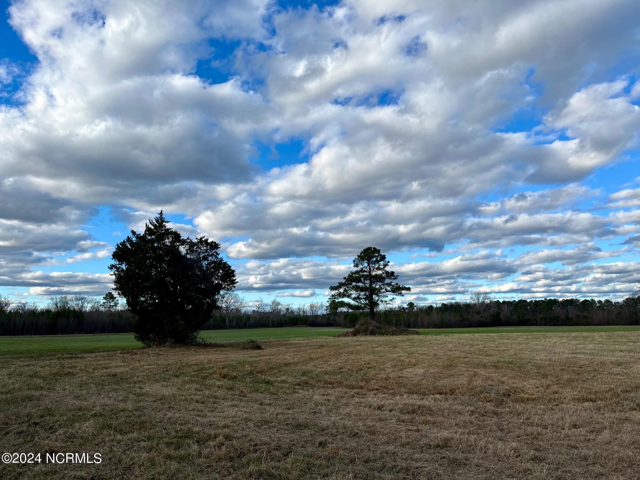 1500 Old Lumberton Road Property Photo 6