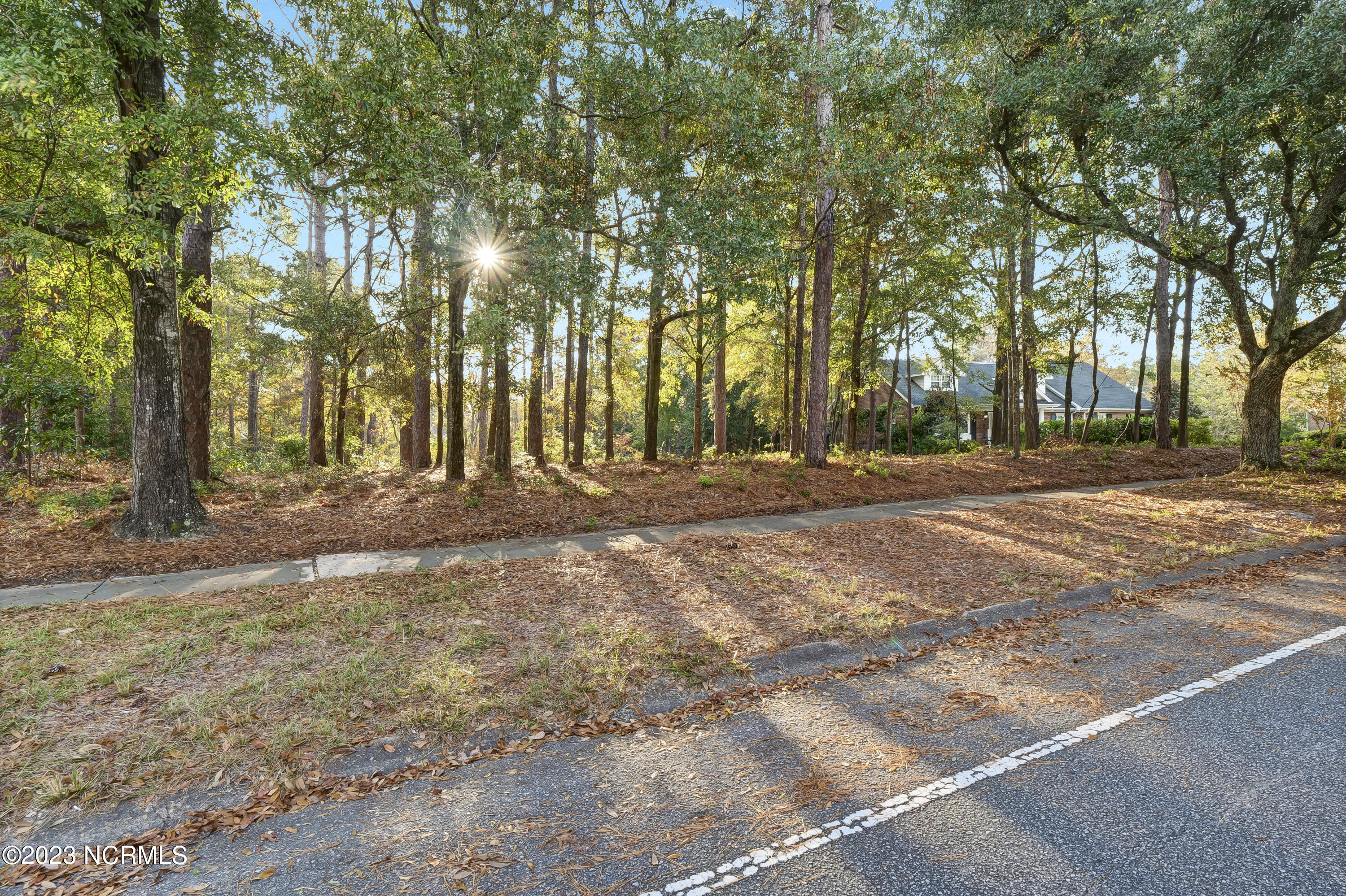 2225 S Live Oak Parkway Property Photo 12