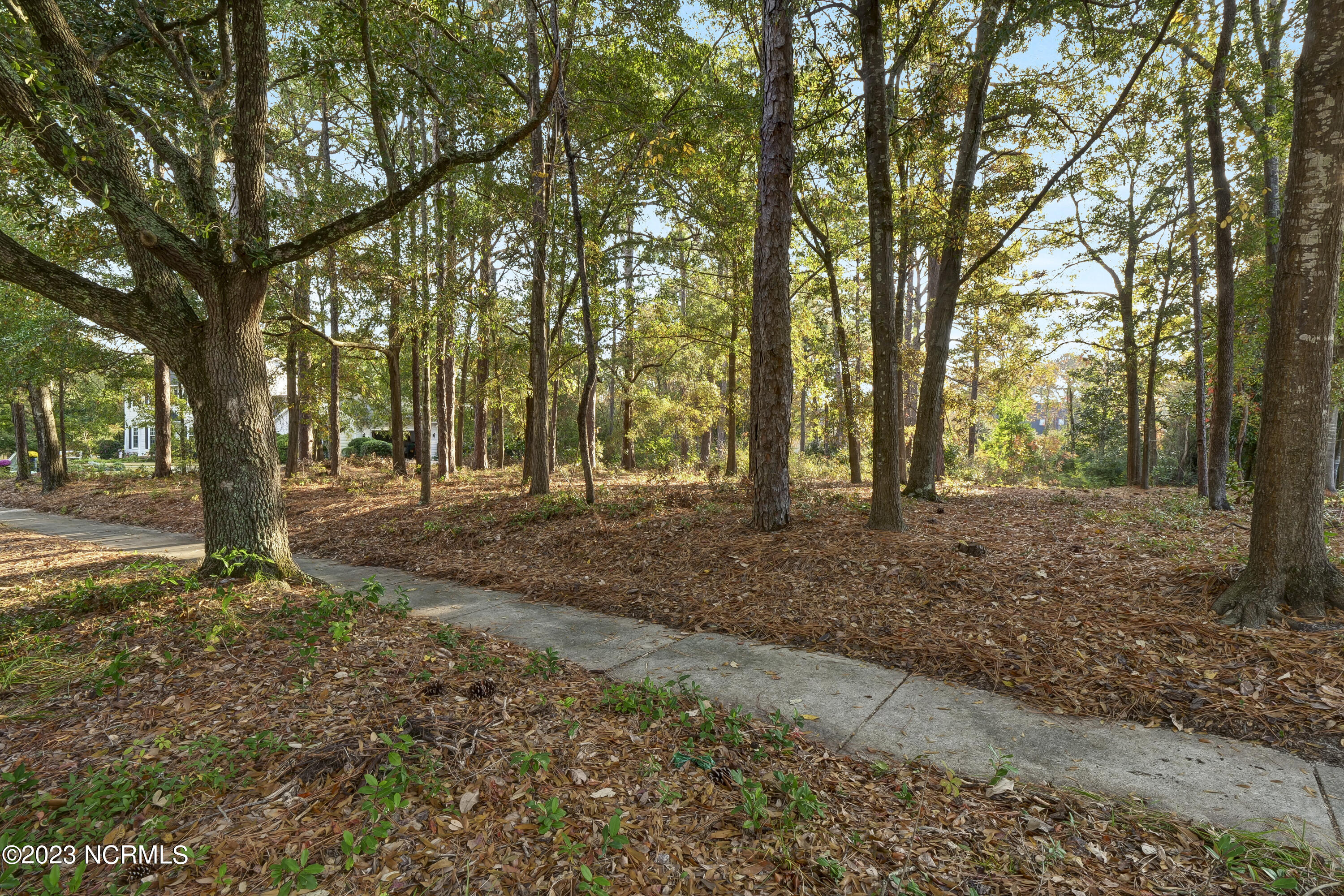 2225 S Live Oak Parkway Property Photo 13