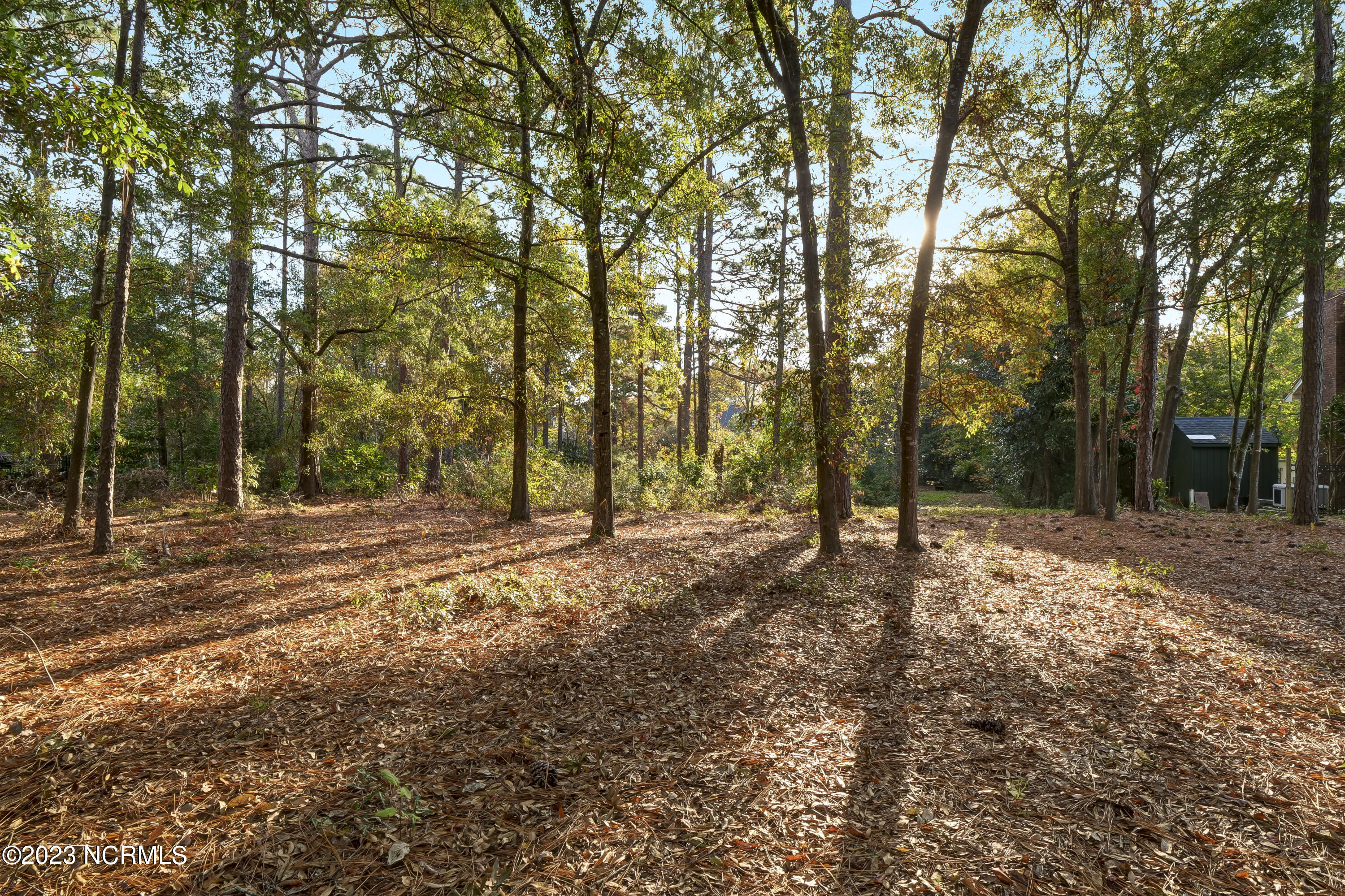 2225 S Live Oak Parkway Property Photo 14