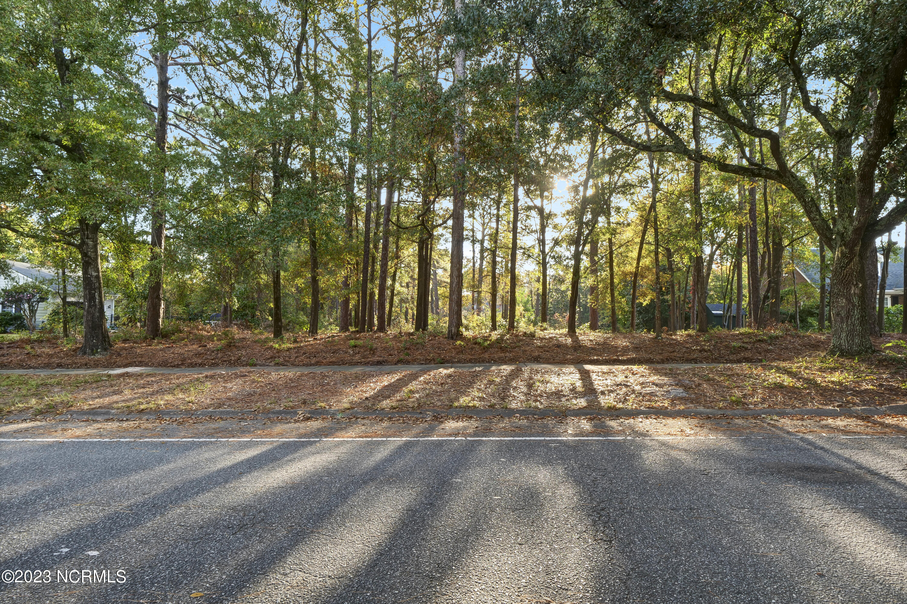 2225 S Live Oak Parkway Property Photo 33