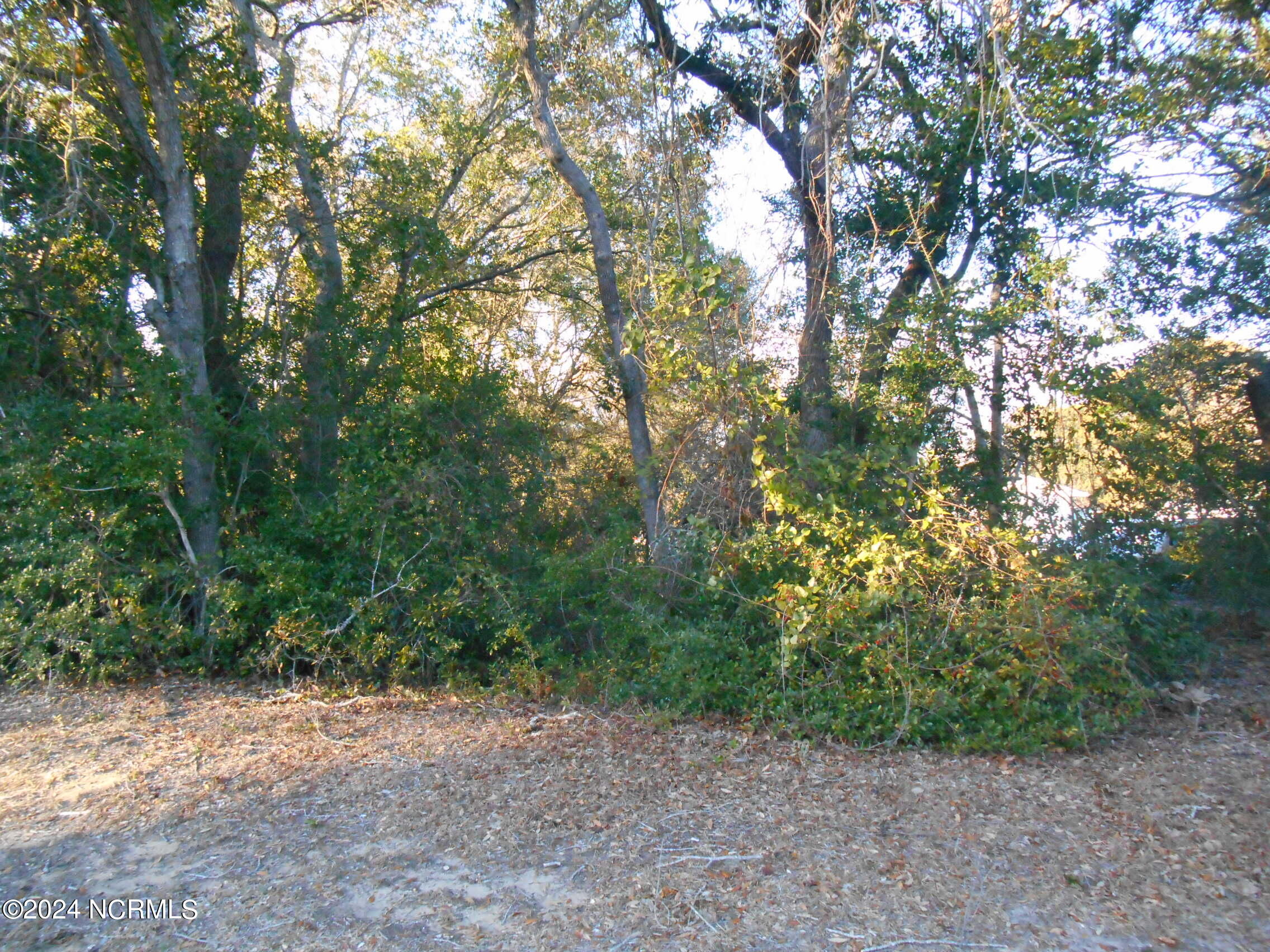 Lot 1 &2 E East Oak Island Drive Property Photo 2