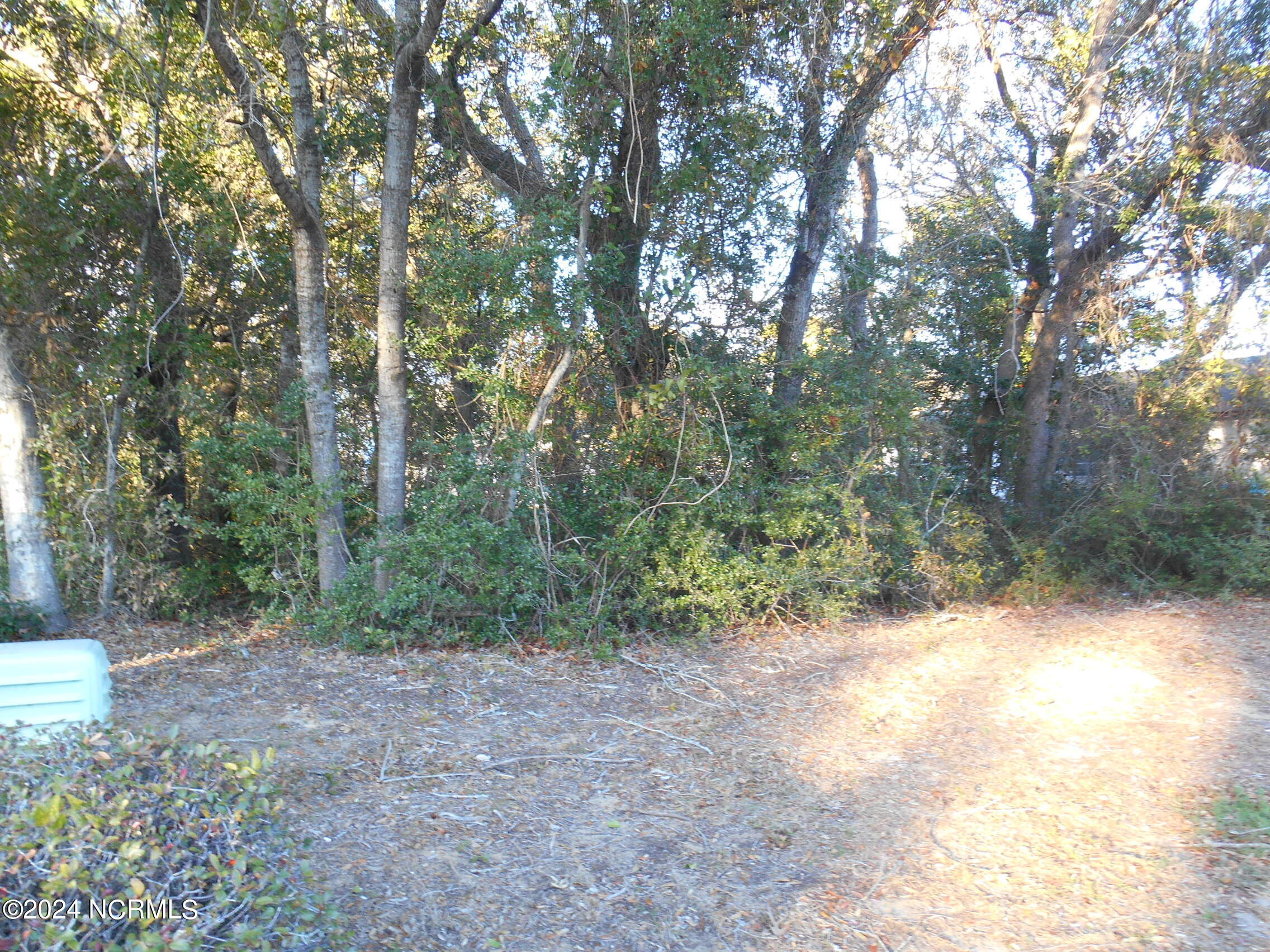 Lot 1 &2 E East Oak Island Drive Property Photo 3