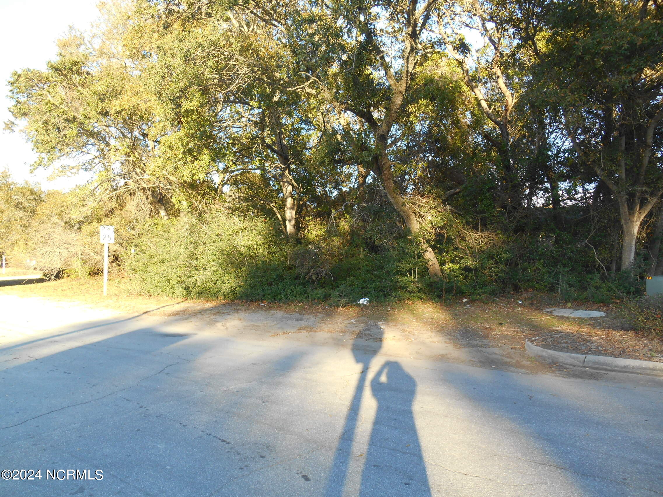 Lot 1 &2 E East Oak Island Drive Property Photo 4