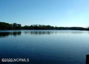 1010 Vandemere Creek Drive Property Photo 2