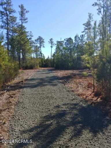 1010 Vandemere Creek Drive Property Photo 5