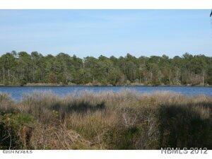 1010 Vandemere Creek Drive Property Photo 6