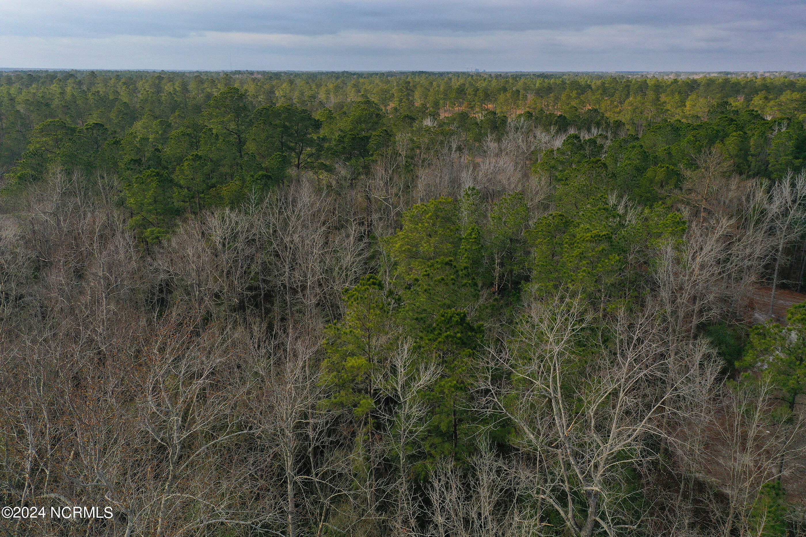 7118 Jennings Road Property Photo 41