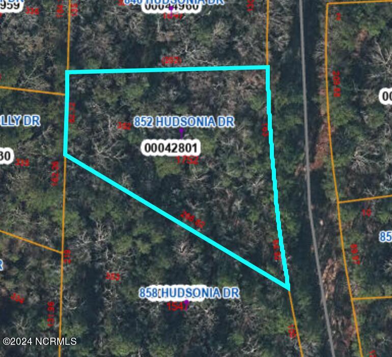 852 Hudsonia Drive Property Photo 1