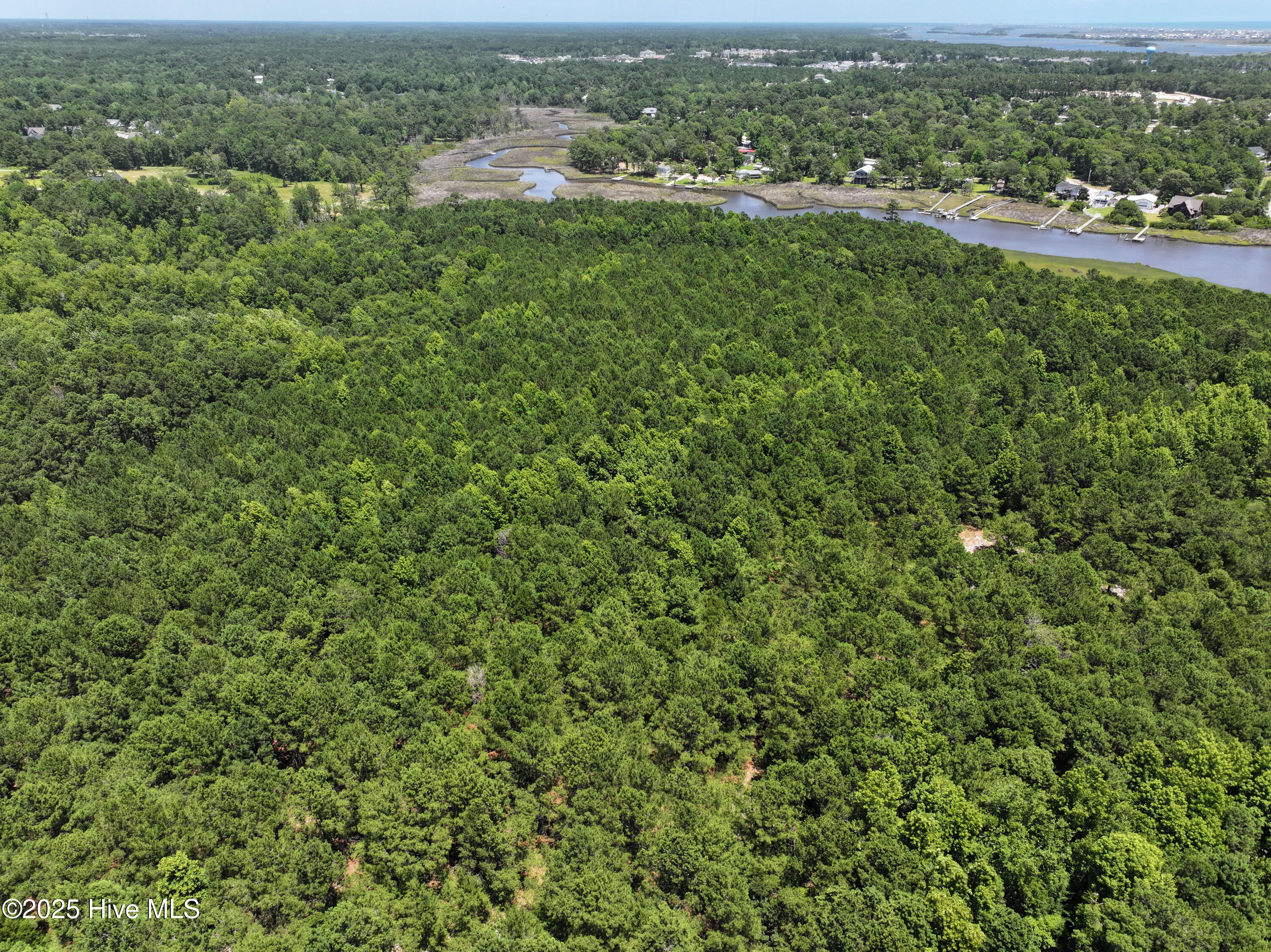 141.83 Acres Watts Landing Road Property Photo 5