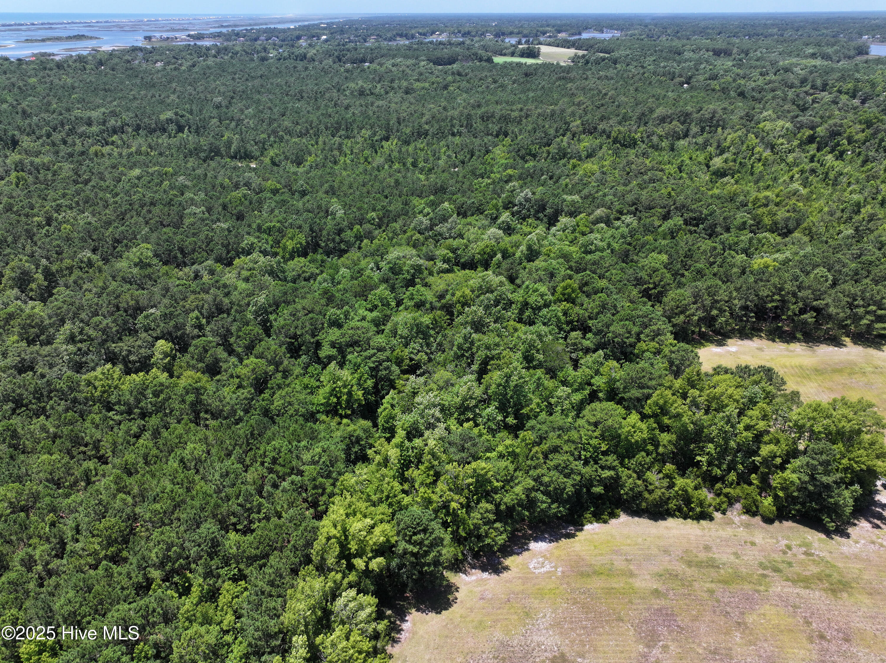 141.83 Acres Watts Landing Road Property Photo 10