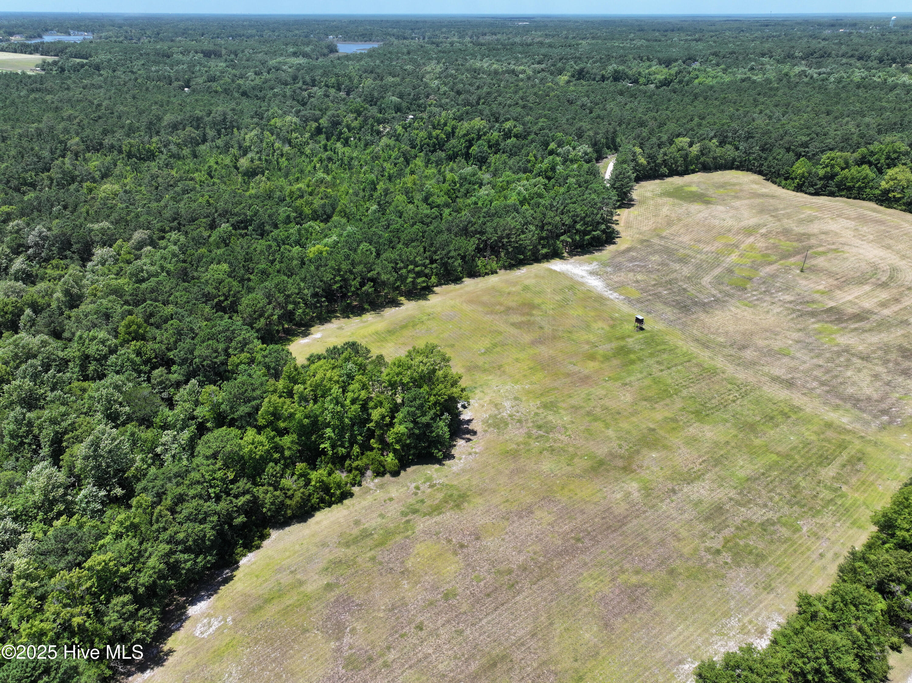 141.83 Acres Watts Landing Road Property Photo 11