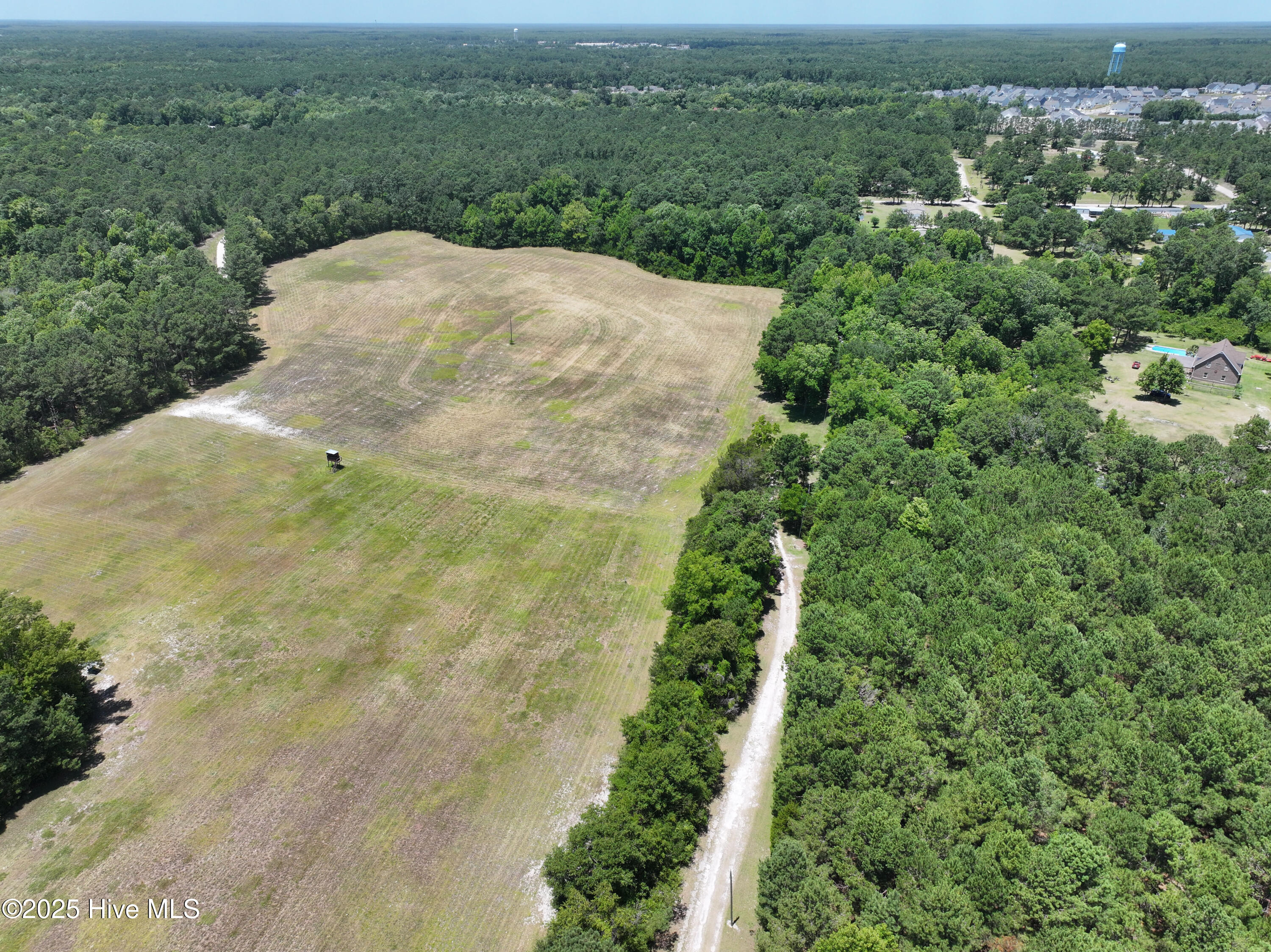 141.83 Acres Watts Landing Road Property Photo 12