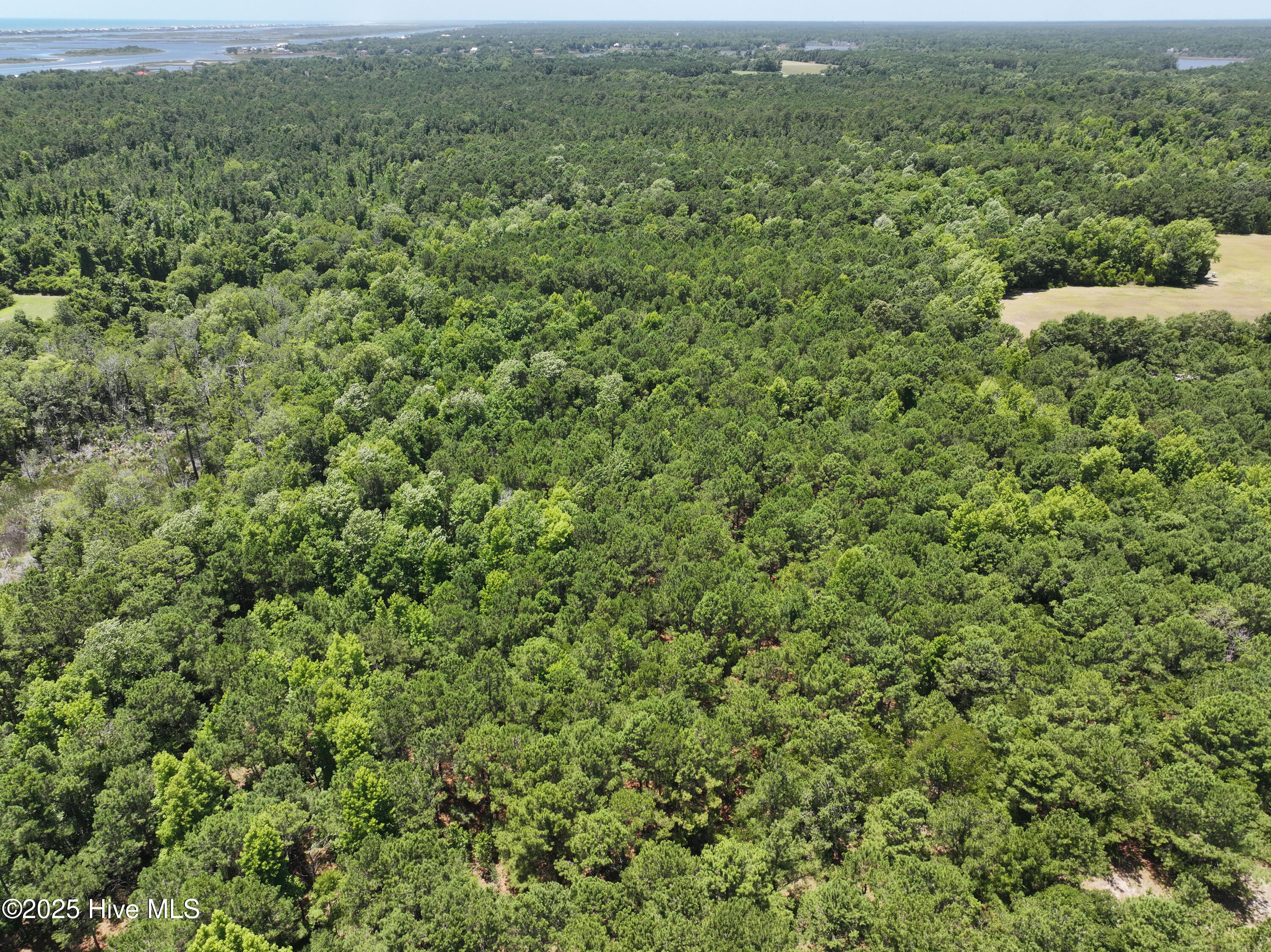 141.83 Acres Watts Landing Road Property Photo 16