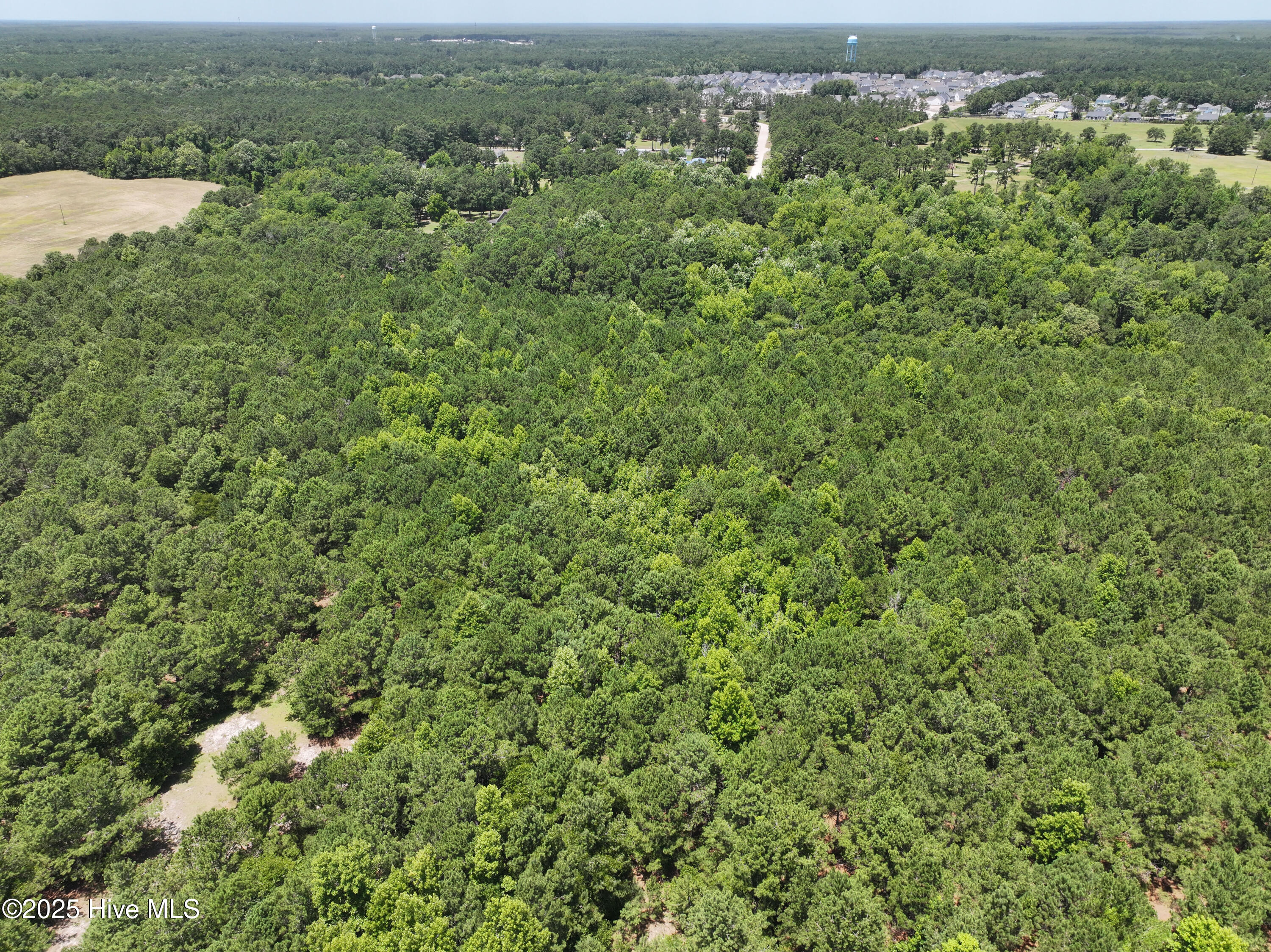 141.83 Acres Watts Landing Road Property Photo 18
