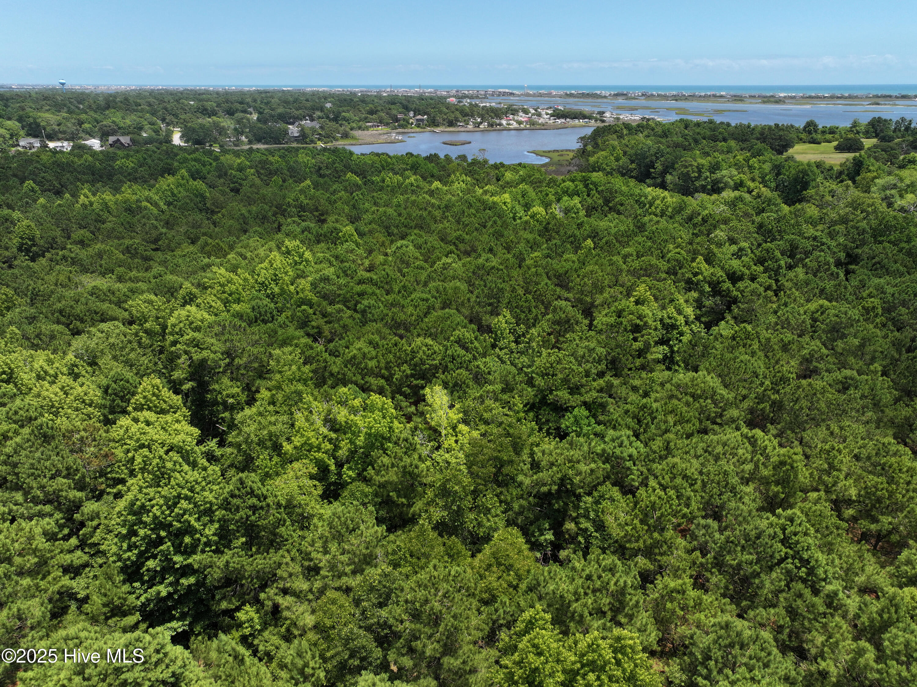 141.83 Acres Watts Landing Road Property Photo 20