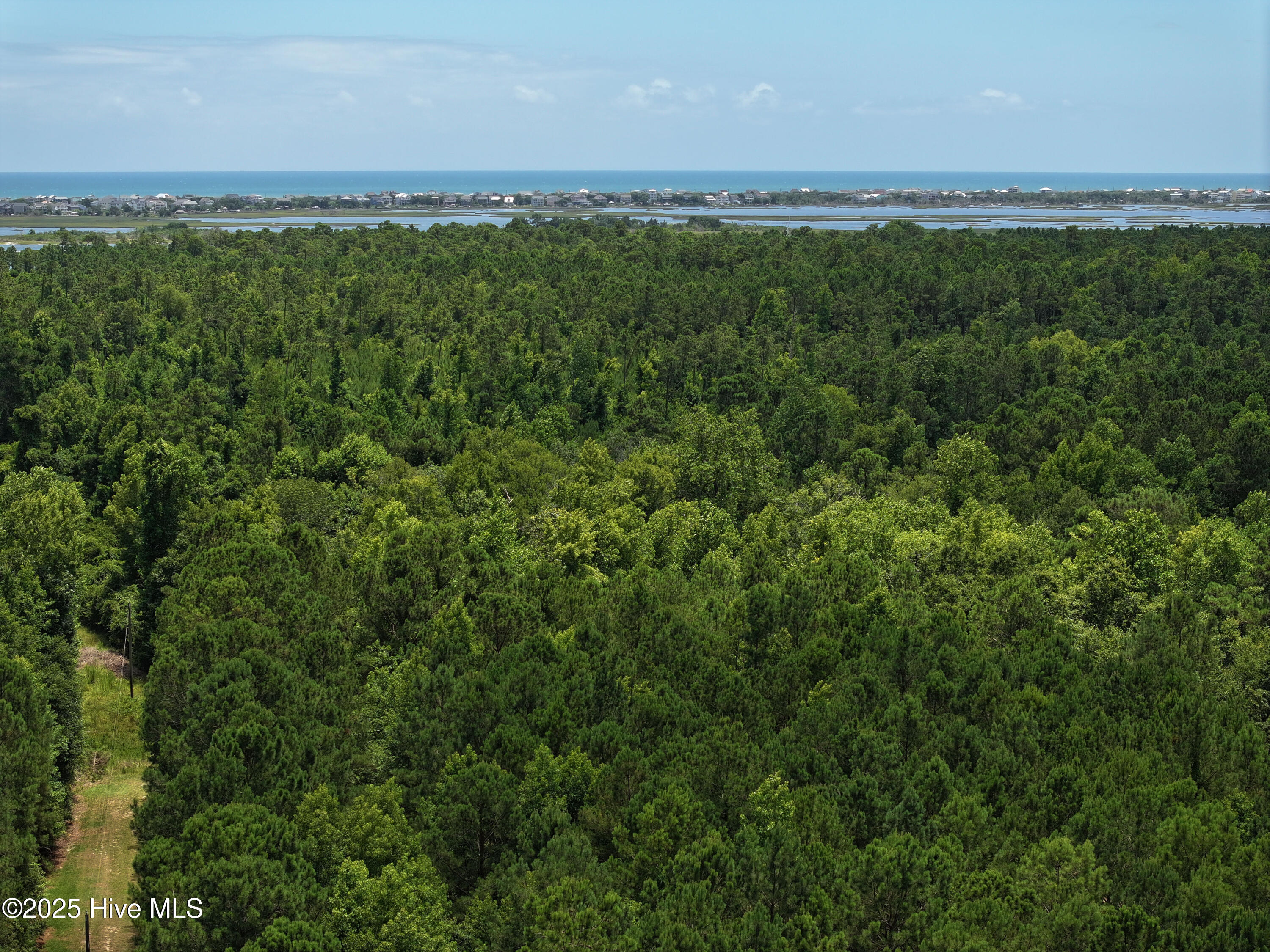 141.83 Acres Watts Landing Road Property Photo 34
