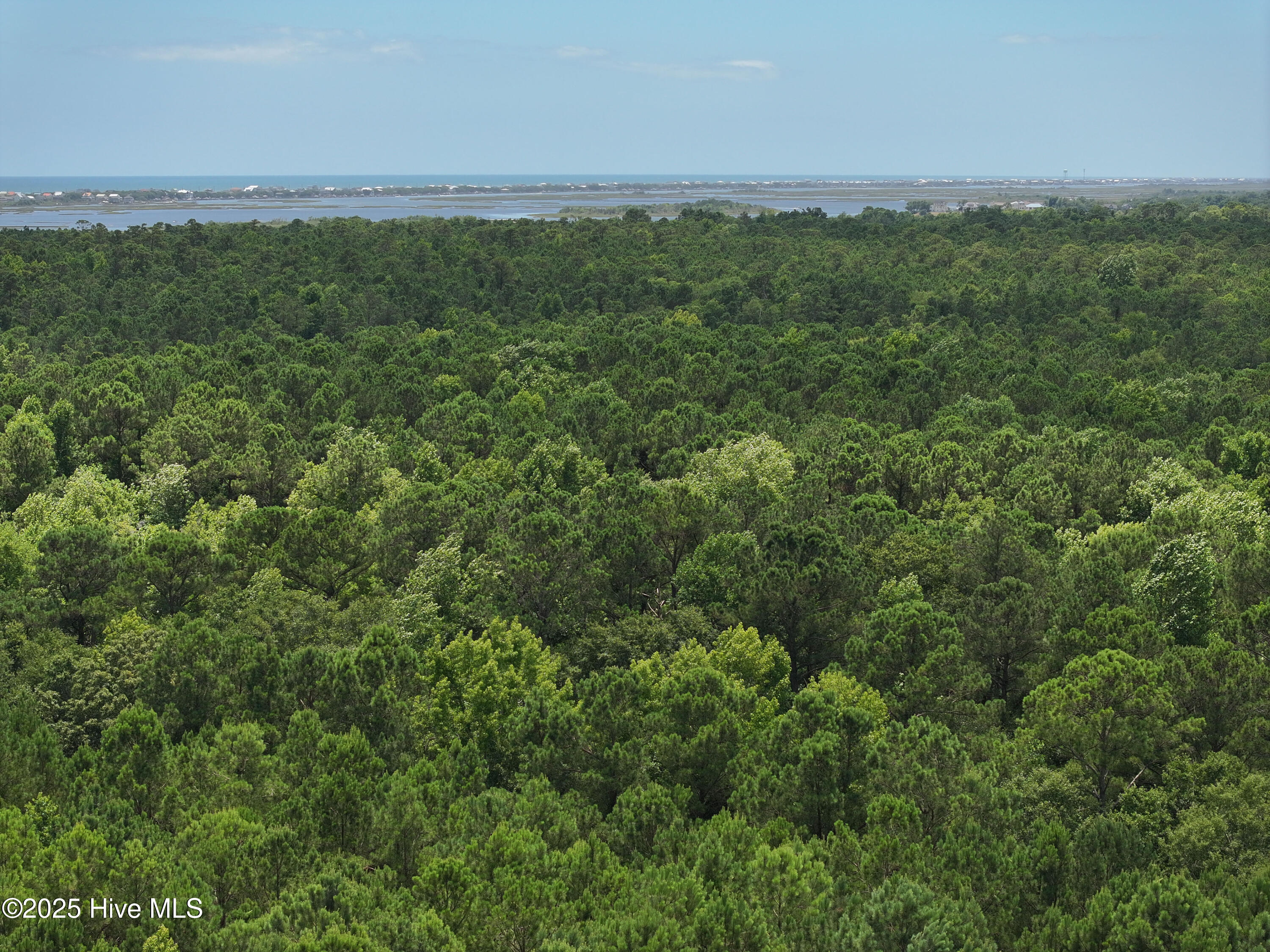 141.83 Acres Watts Landing Road Property Photo 35