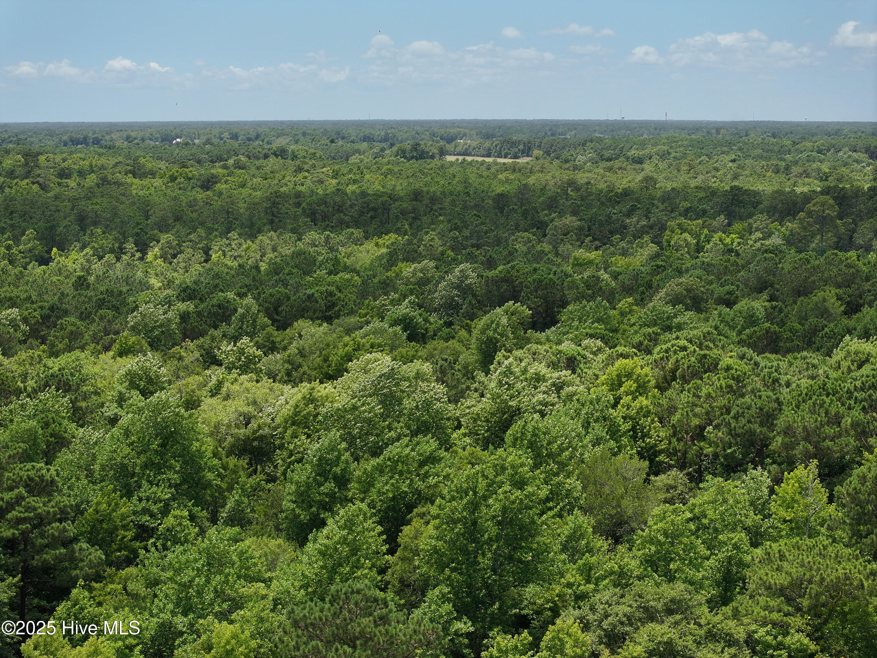 141.83 Acres Watts Landing Road Property Photo 36