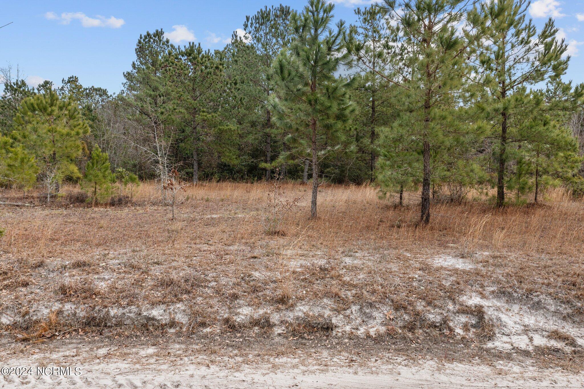 39a Pilchers Branch Road Property Photo 1