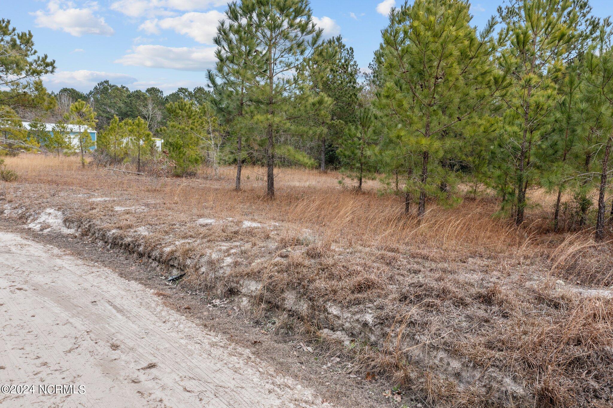 39a Pilchers Branch Road Property Photo 4