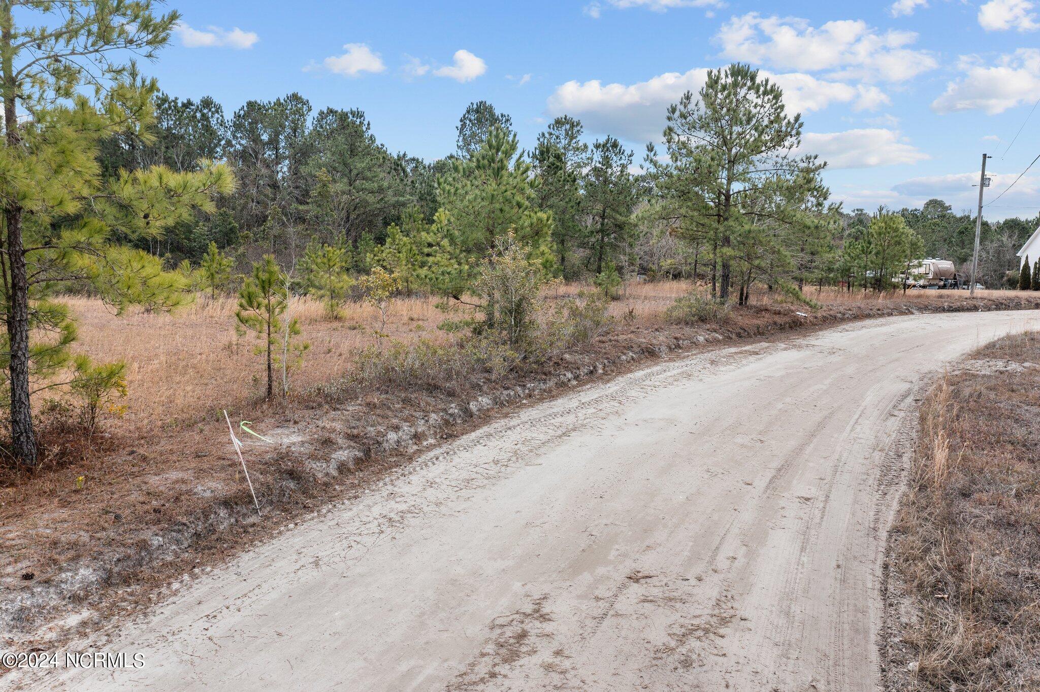 39a Pilchers Branch Road Property Photo 5