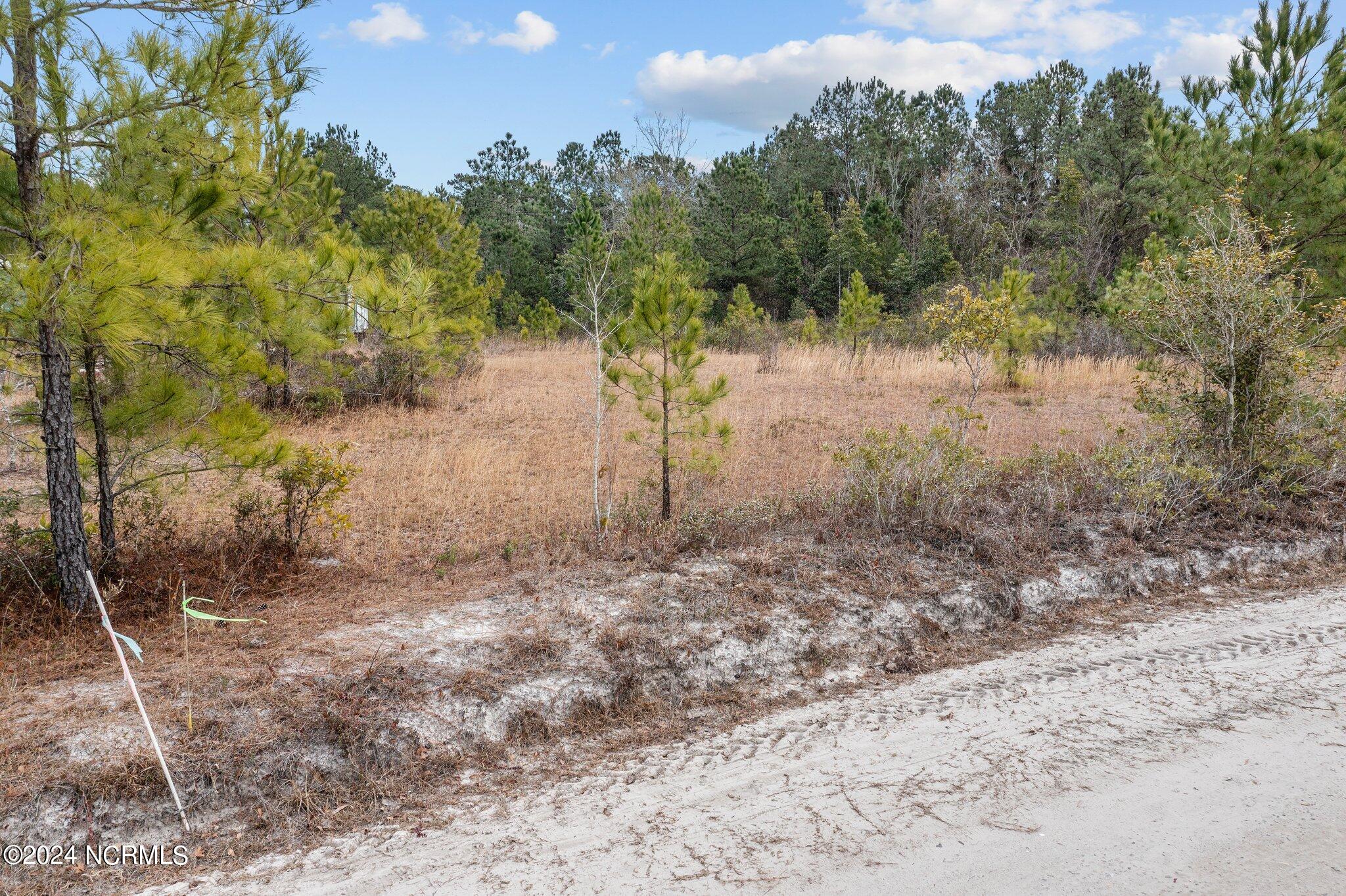 39a Pilchers Branch Road Property Photo 7