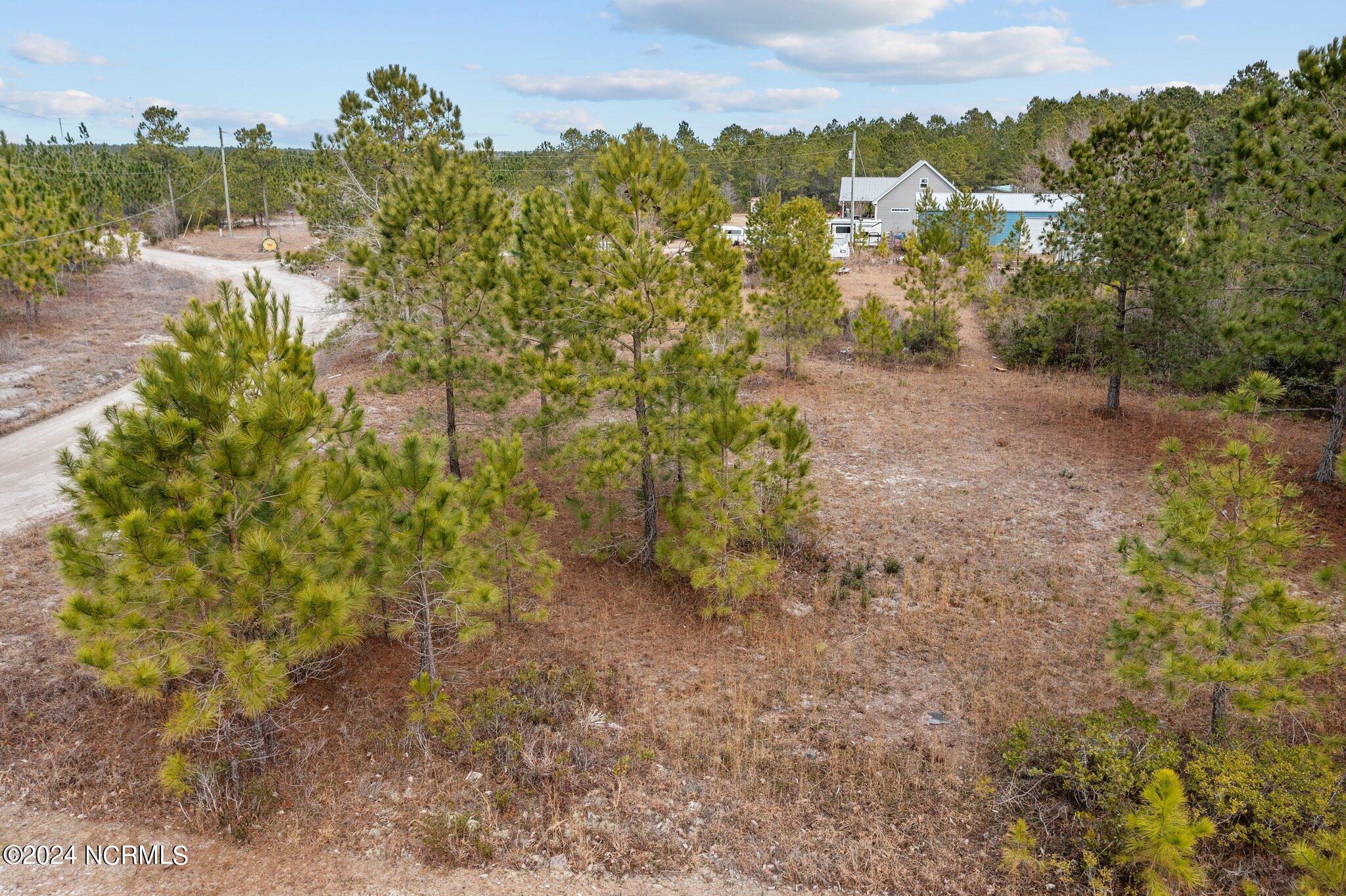39a Pilchers Branch Road Property Photo 8