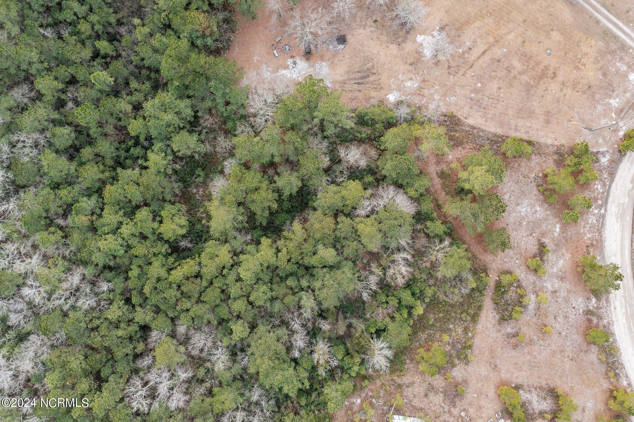 39a Pilchers Branch Road Property Photo 21