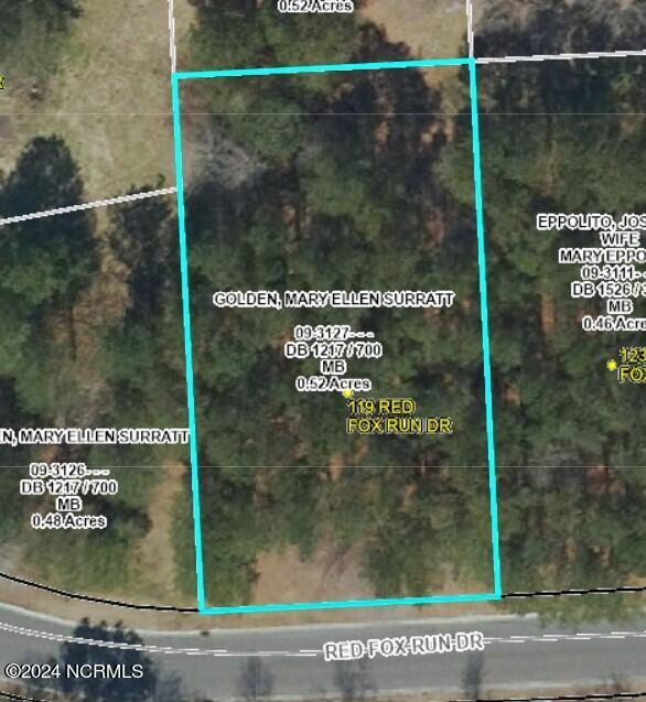 119 90 Red Fox Run Drive Property Photo 1
