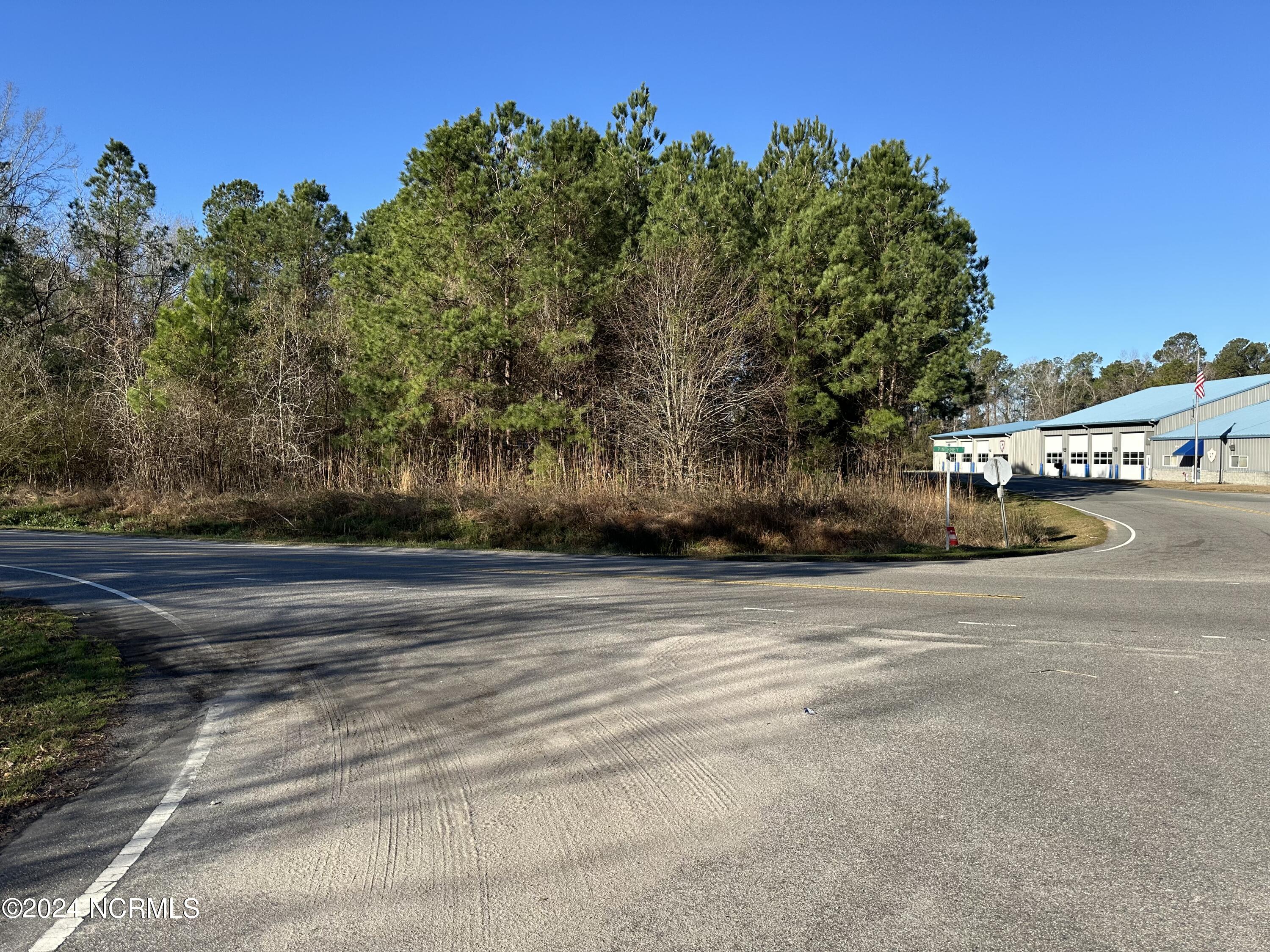 1517 Pinckney Street Property Photo 1