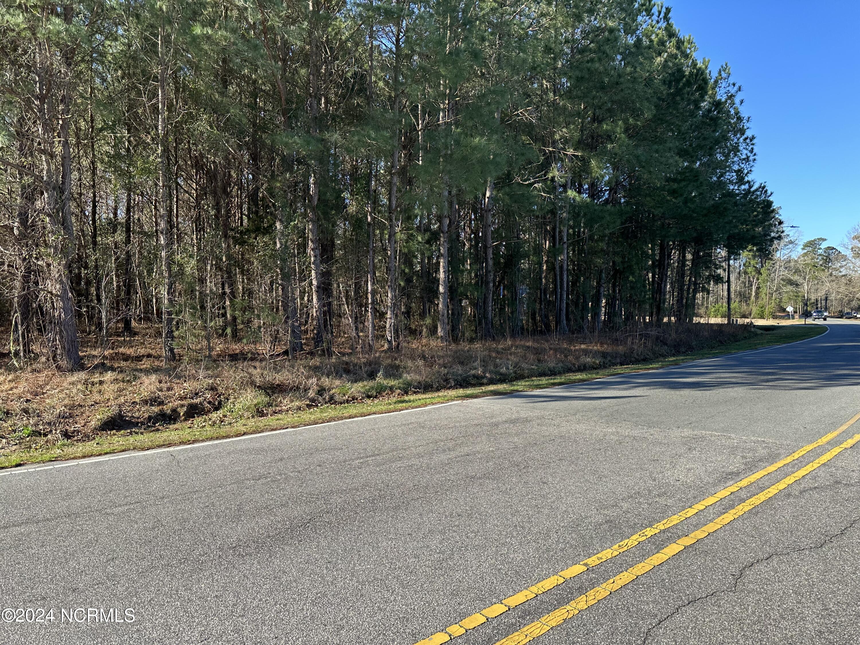 1517 Pinckney Street Property Photo 4