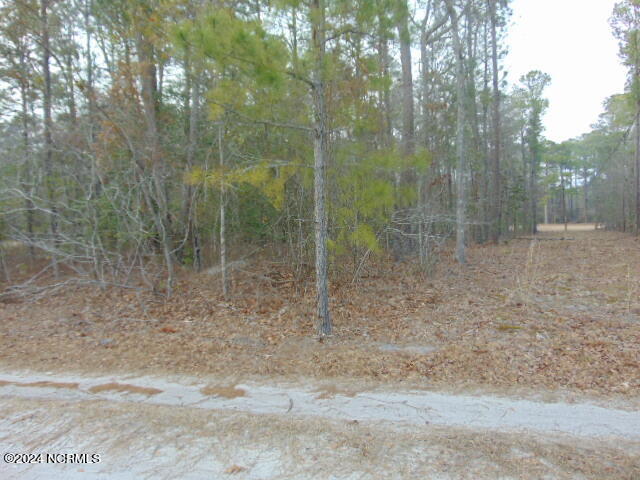 7 Hillcrest Road Property Photo 3