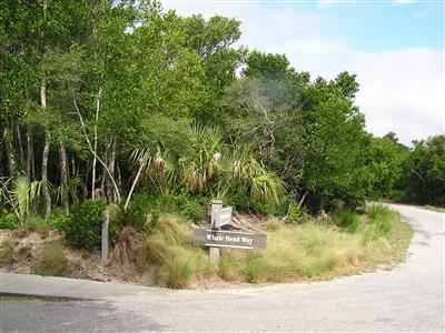 207 Whale Head Way Property Photo