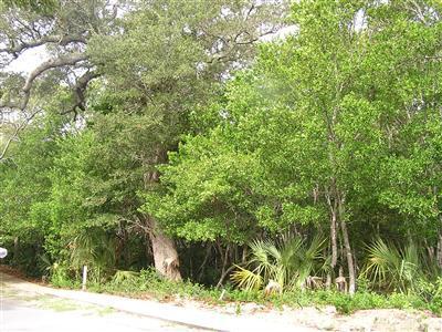 207 Whale Head Way Property Photo 2