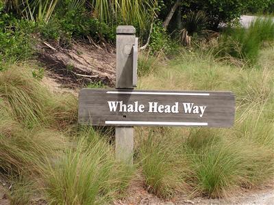 207 Whale Head Way Property Photo 3