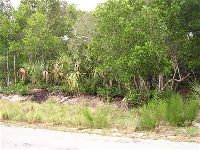 207 Whale Head Way Property Photo 8