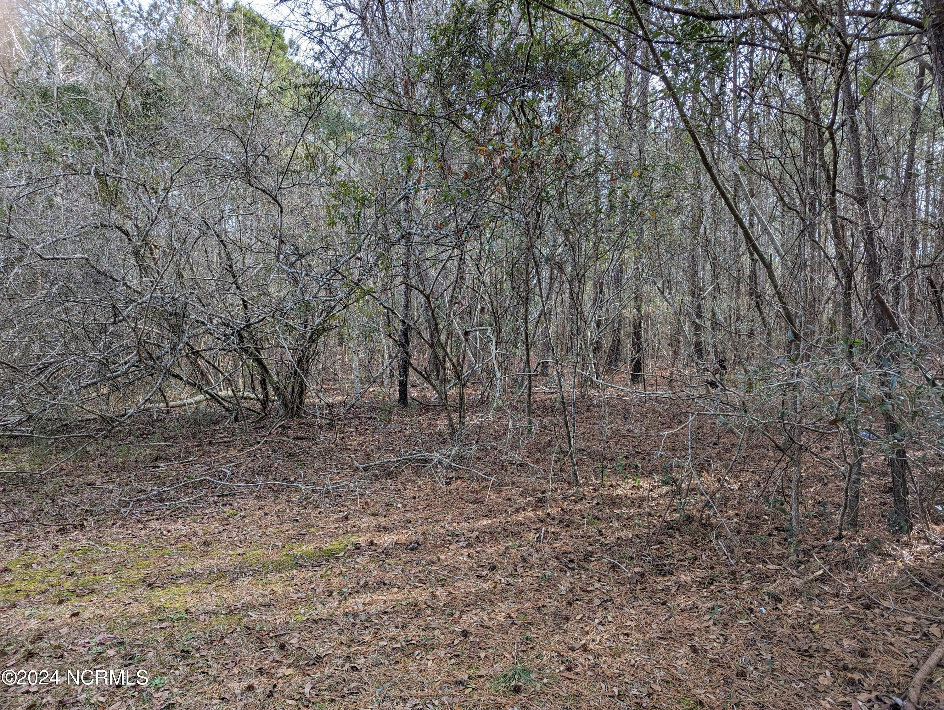 706 Marlowtown Road Property Photo 4