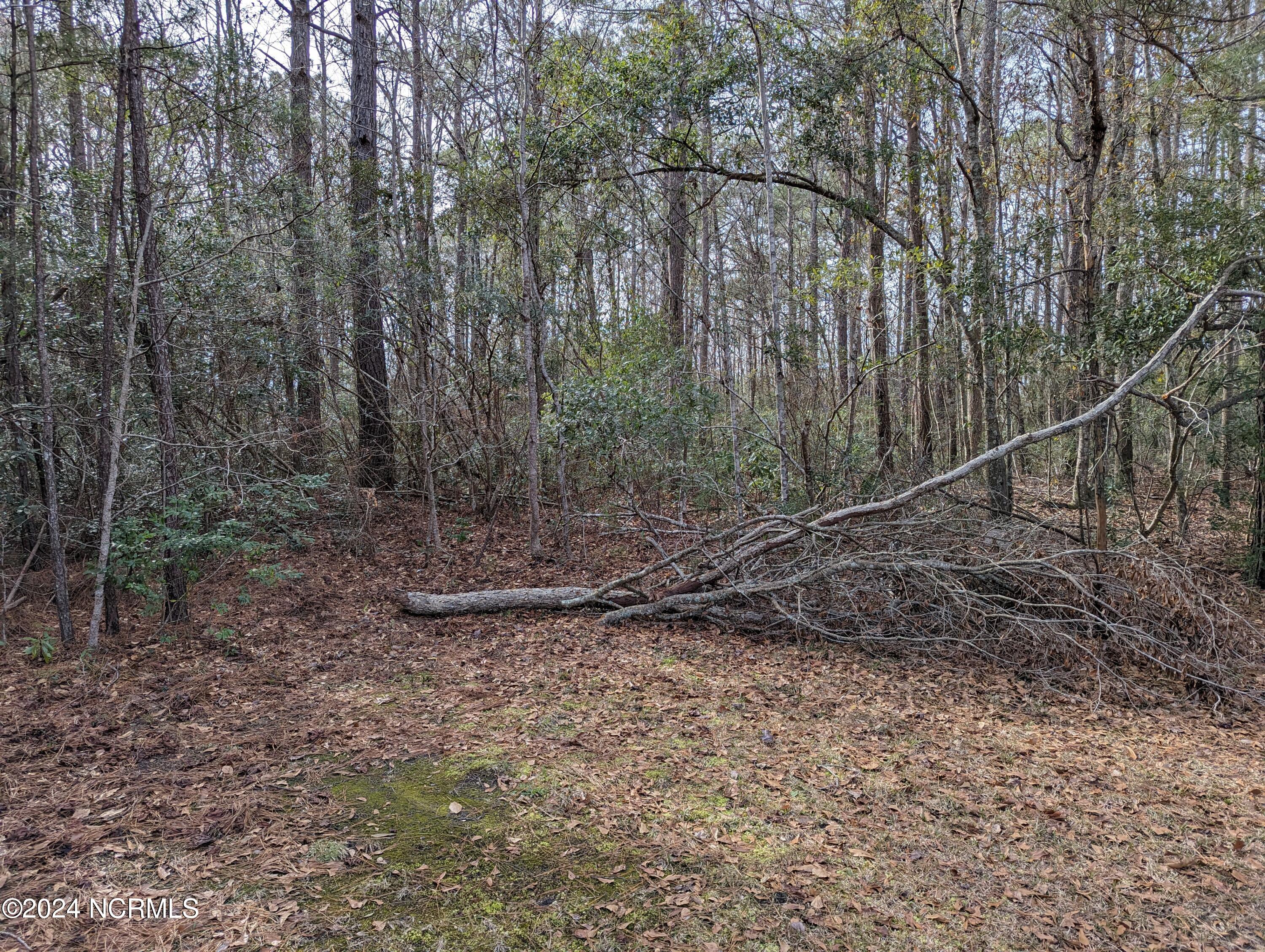 704 Lucian Marlow Road Property Photo 3