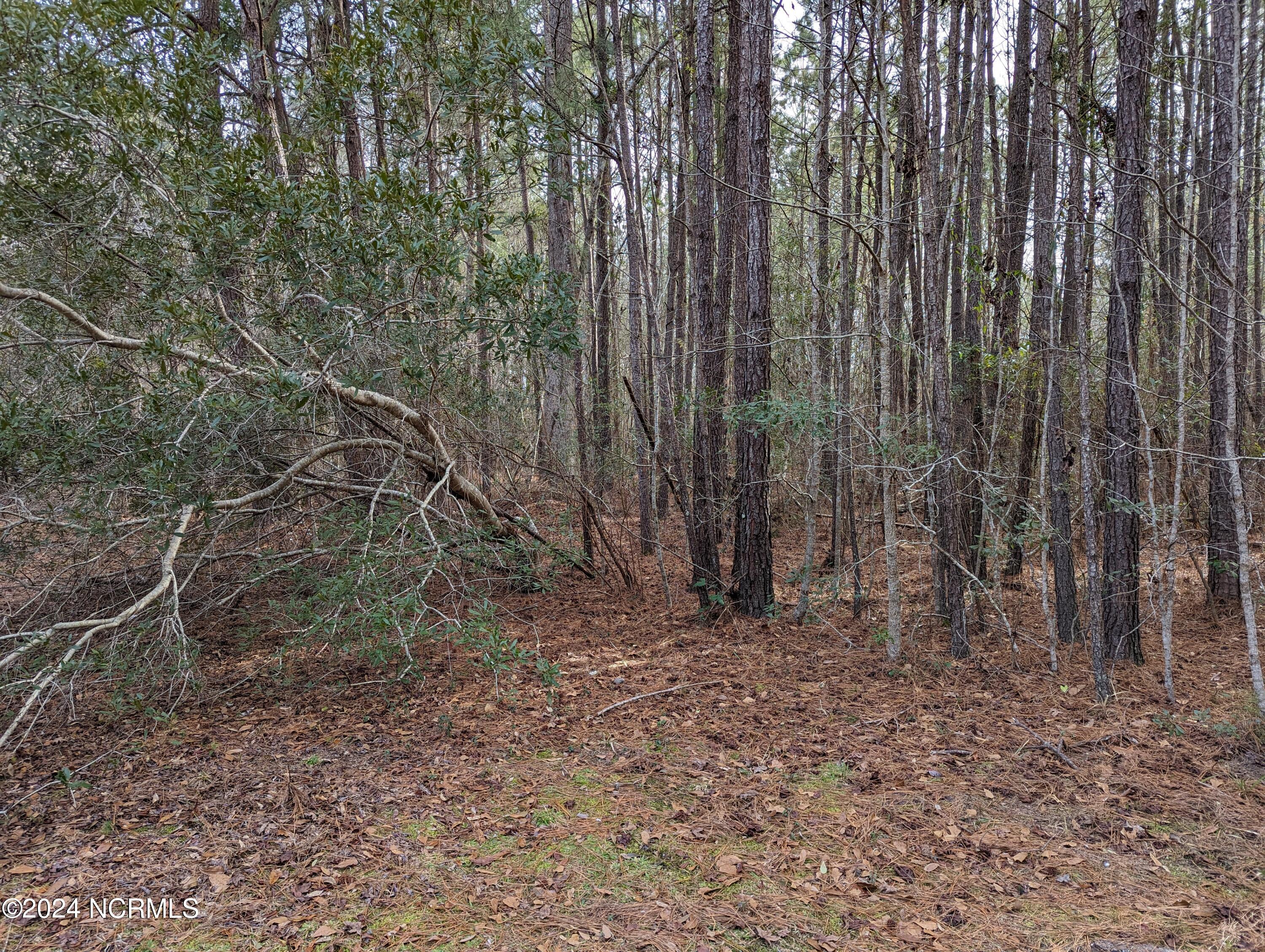 704 Lucian Marlow Road Property Photo 4