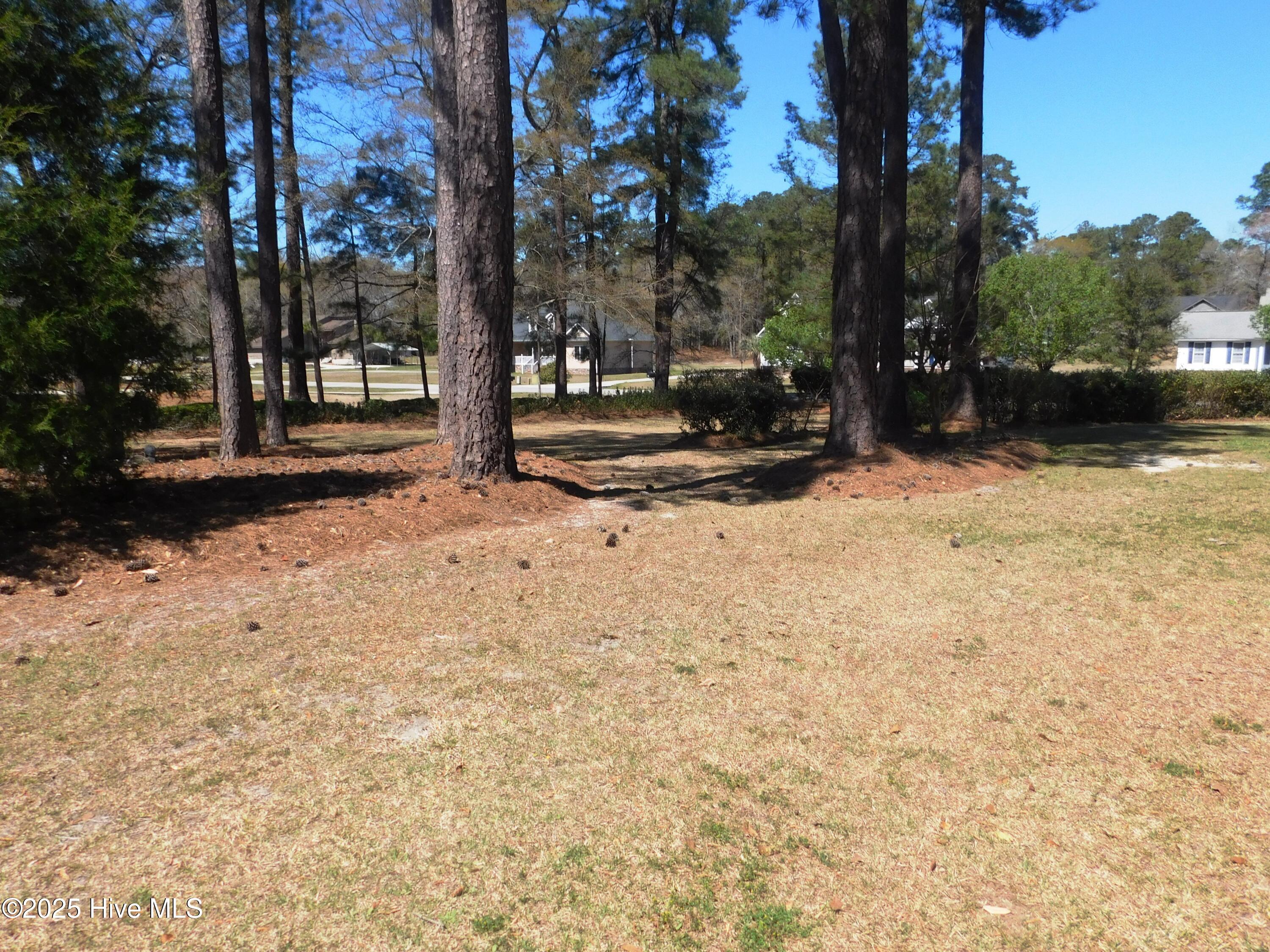 43 Willow Drive Property Photo 24