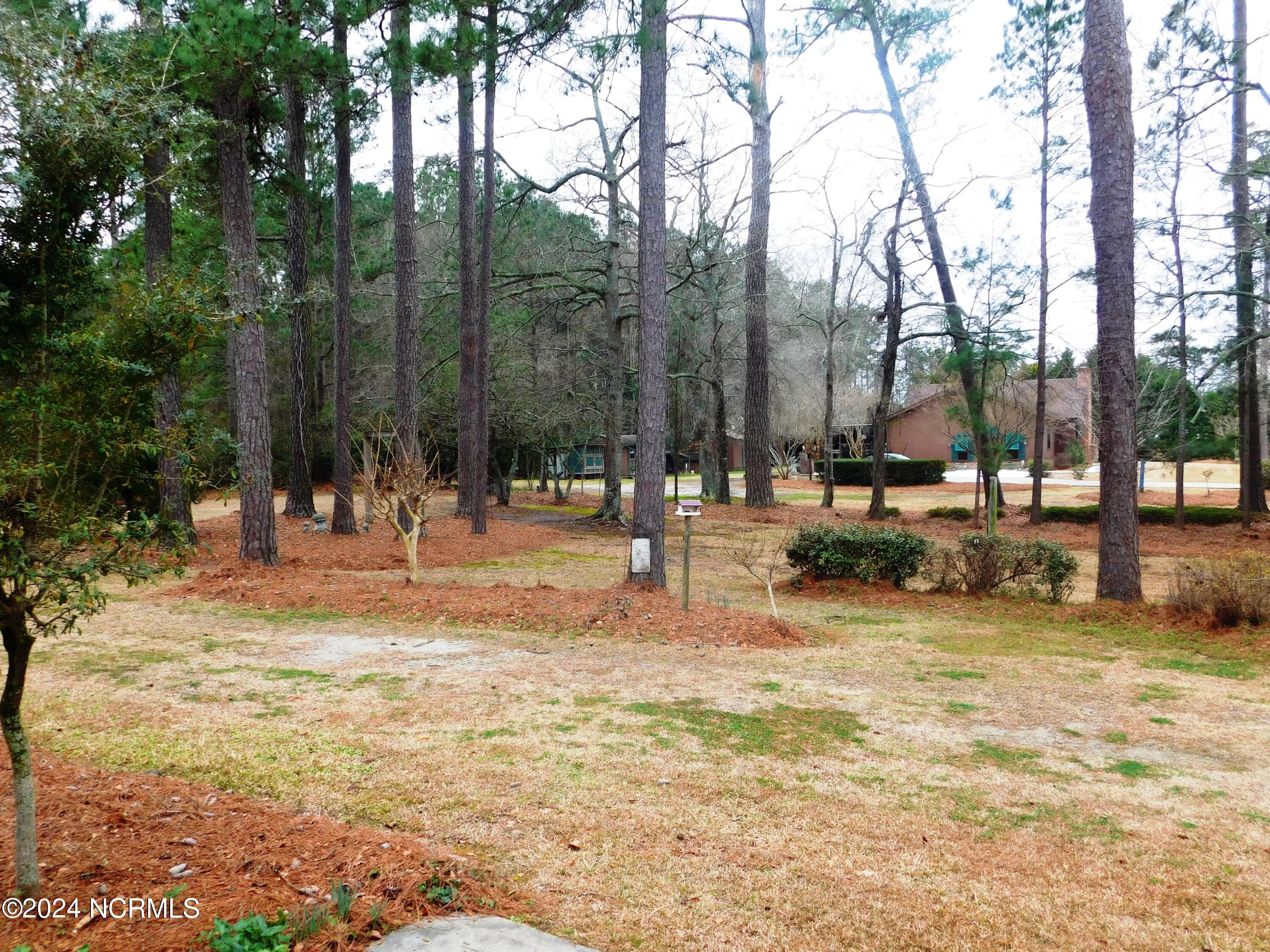 43 Willow Drive Property Photo 25