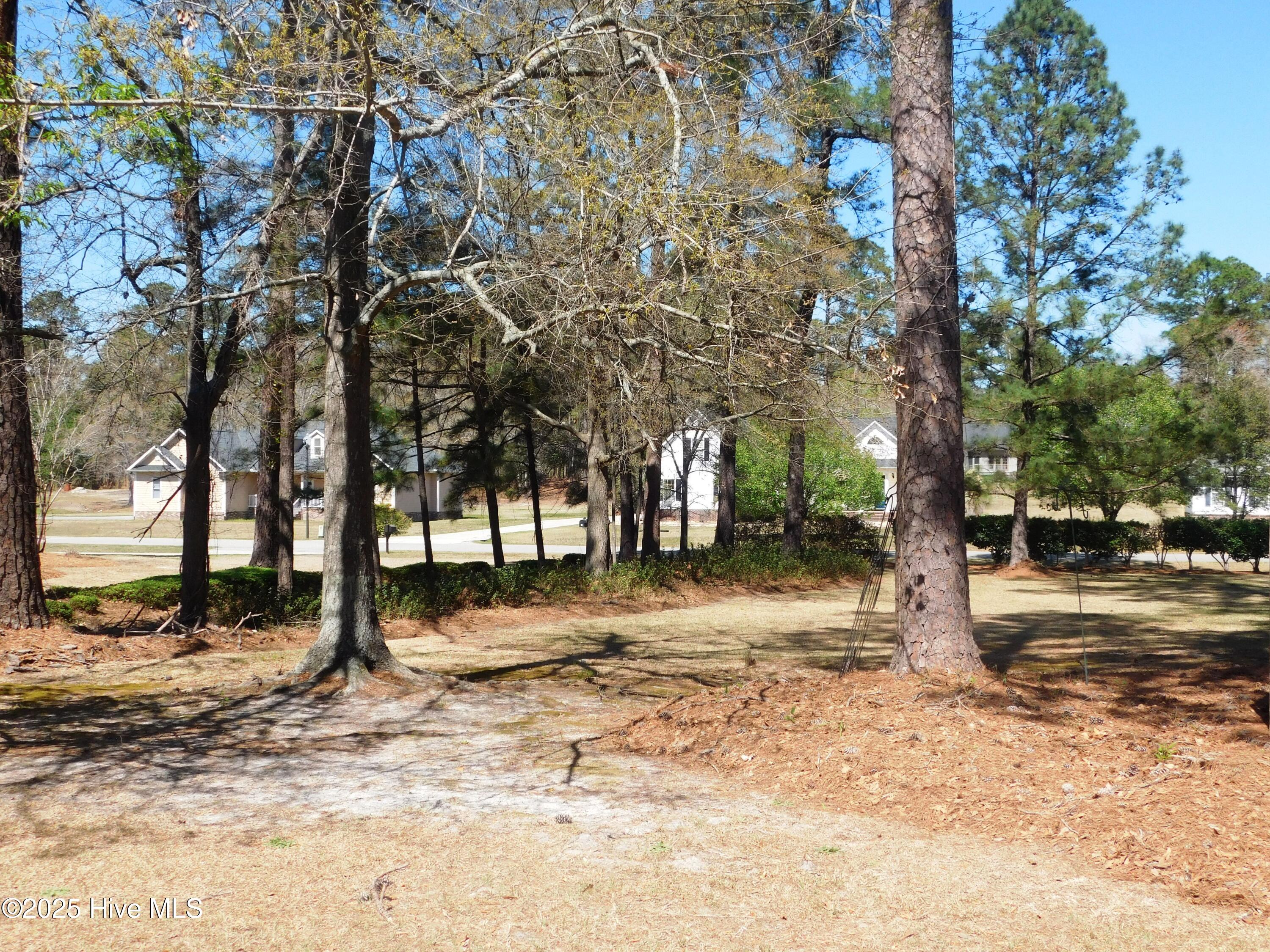43 Willow Drive Property Photo 26