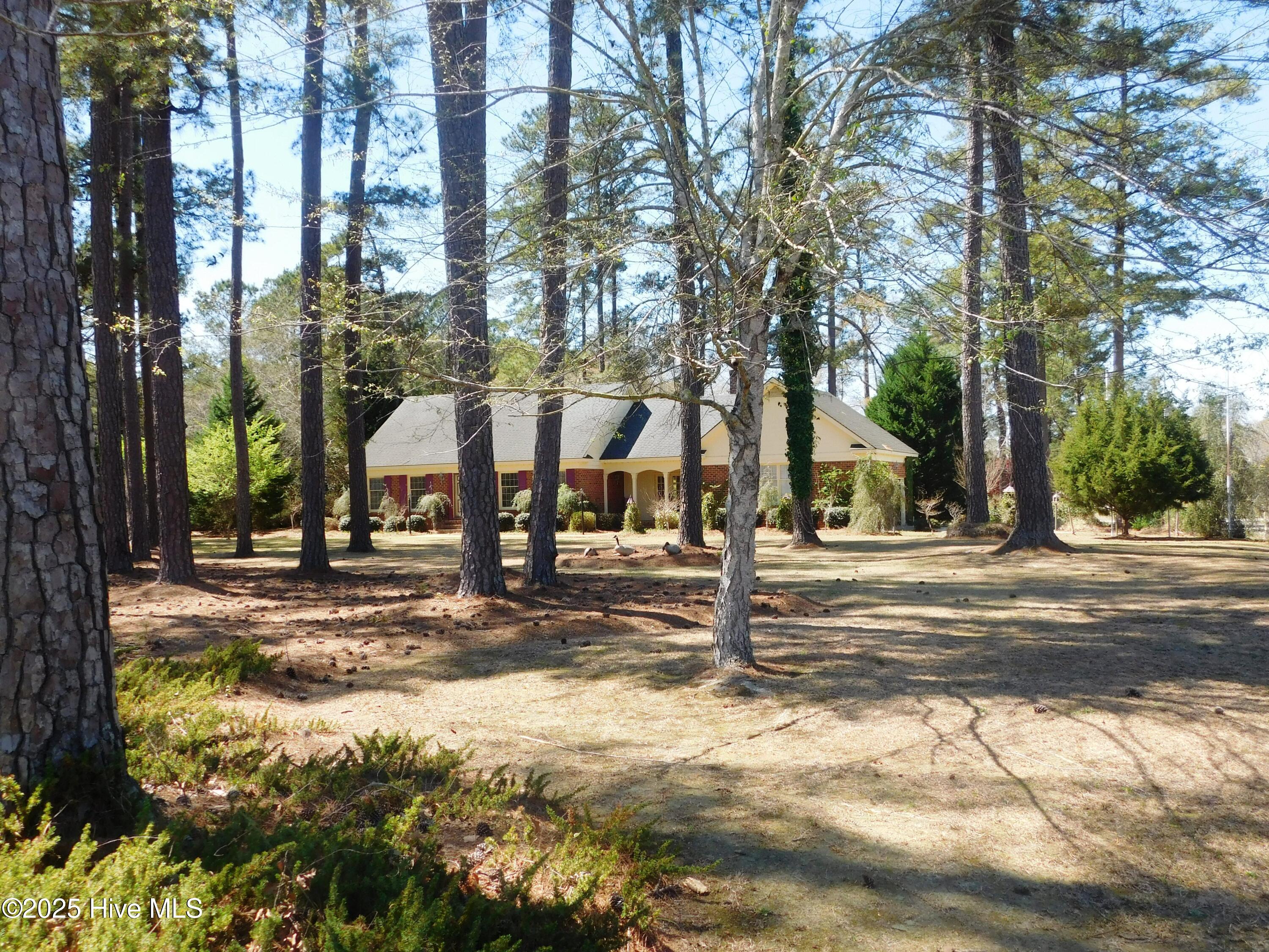 43 Willow Drive Property Photo 28