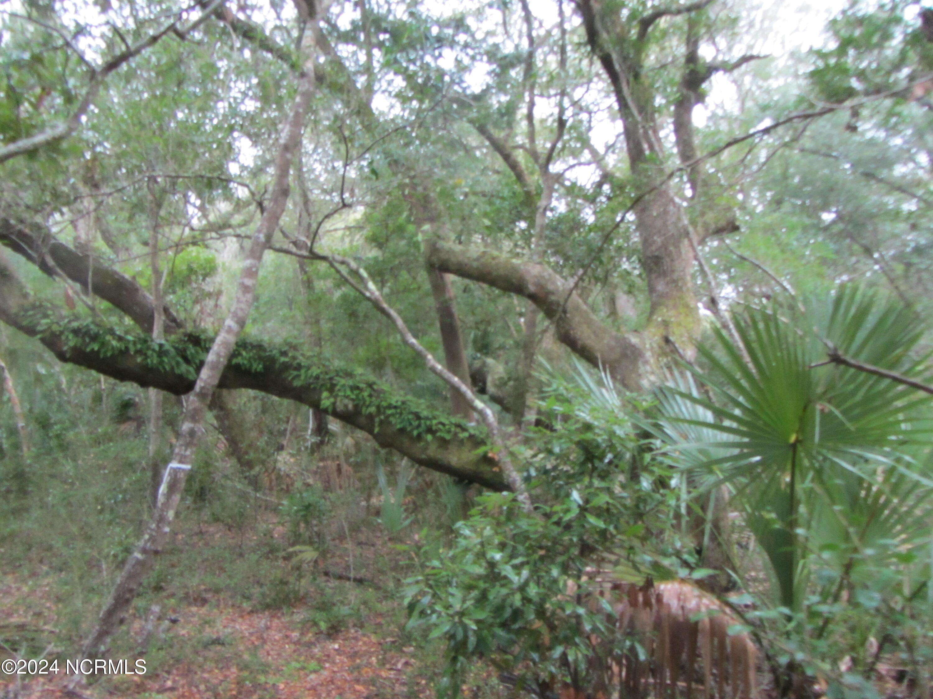 8 Leopard Frog Court Property Photo 1